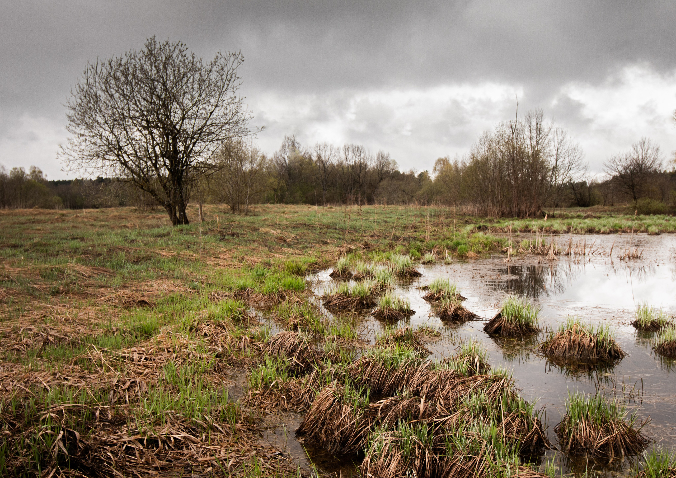 ПЕЙЗАЖ. Фотограф Николай Костюк