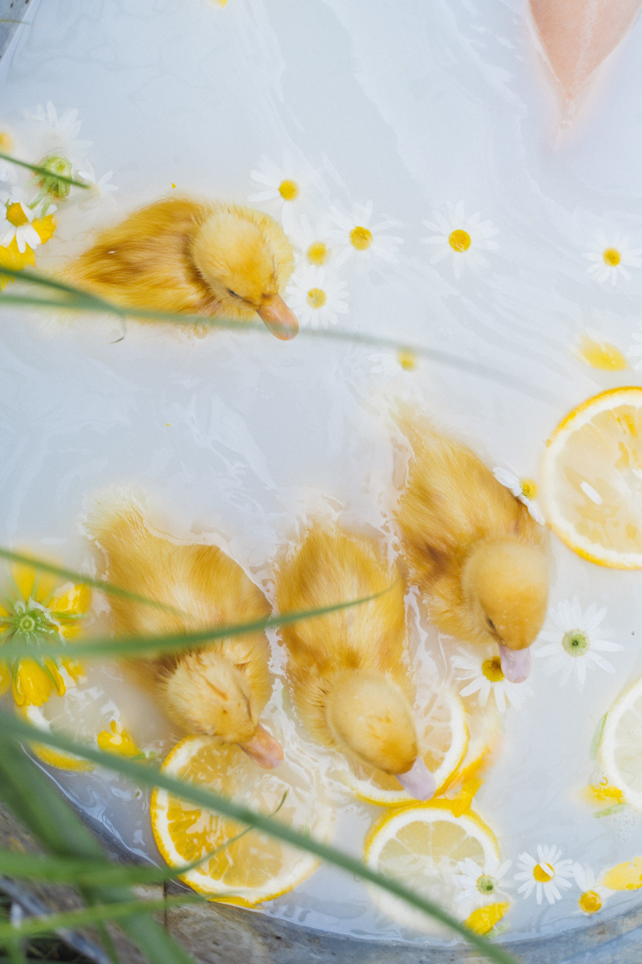 Детские съемки. Женский и семейный лайфстайл фотограф в Уфе Лайт Альбина