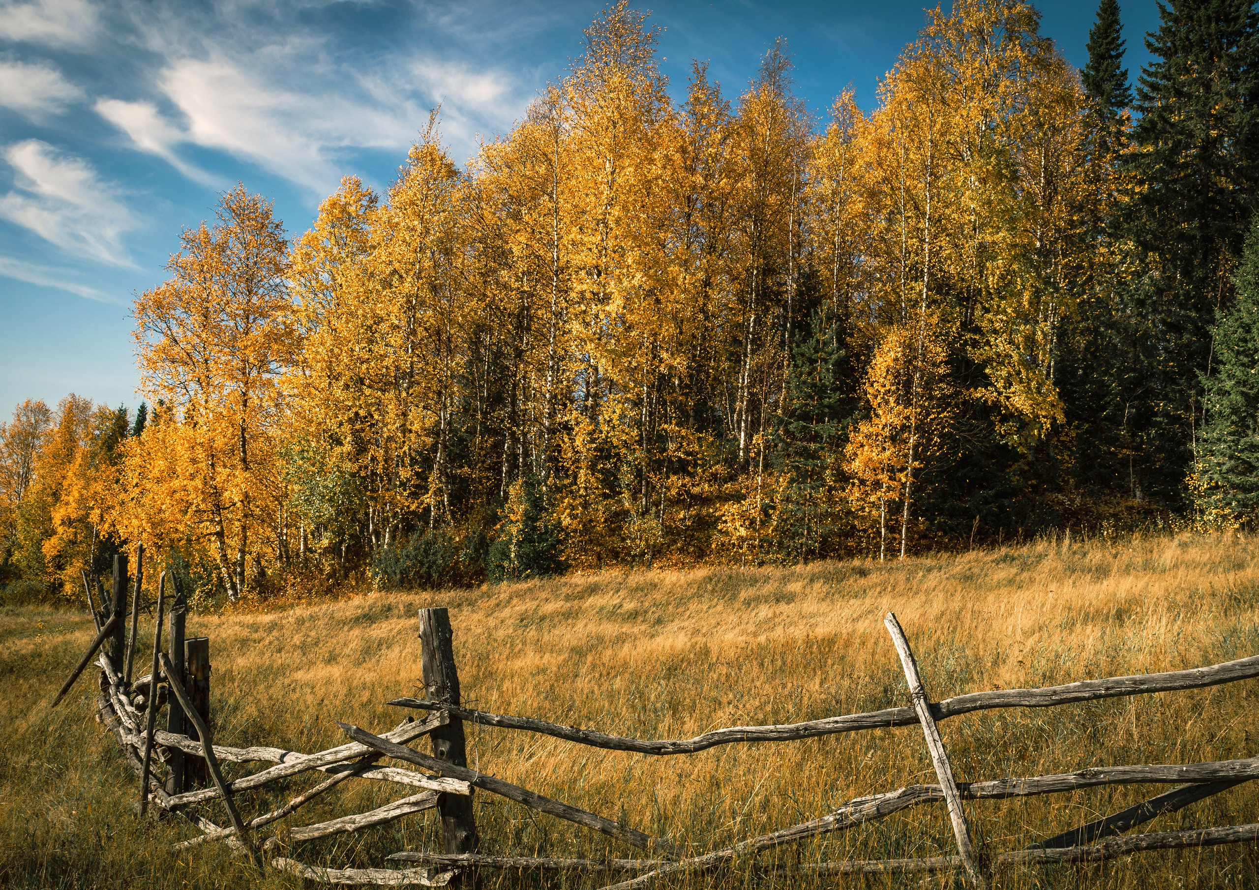 Осень. Фотограф в с. Ижма Республика Коми Терентьев Сергей