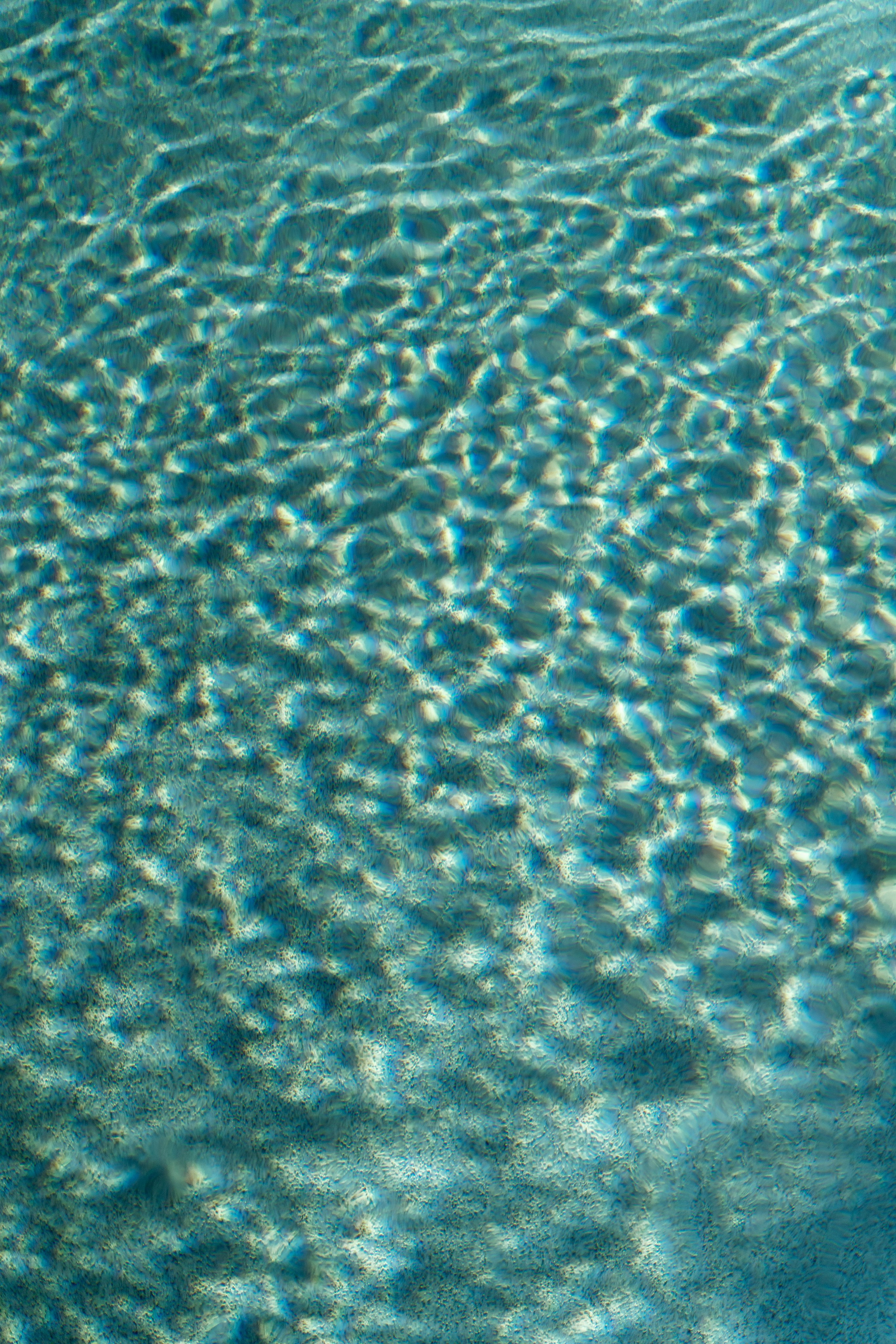 Barbie Пикник. Свадебный фотограф в Краснодаре и Санкт-Петербурге Евгения Алексеева