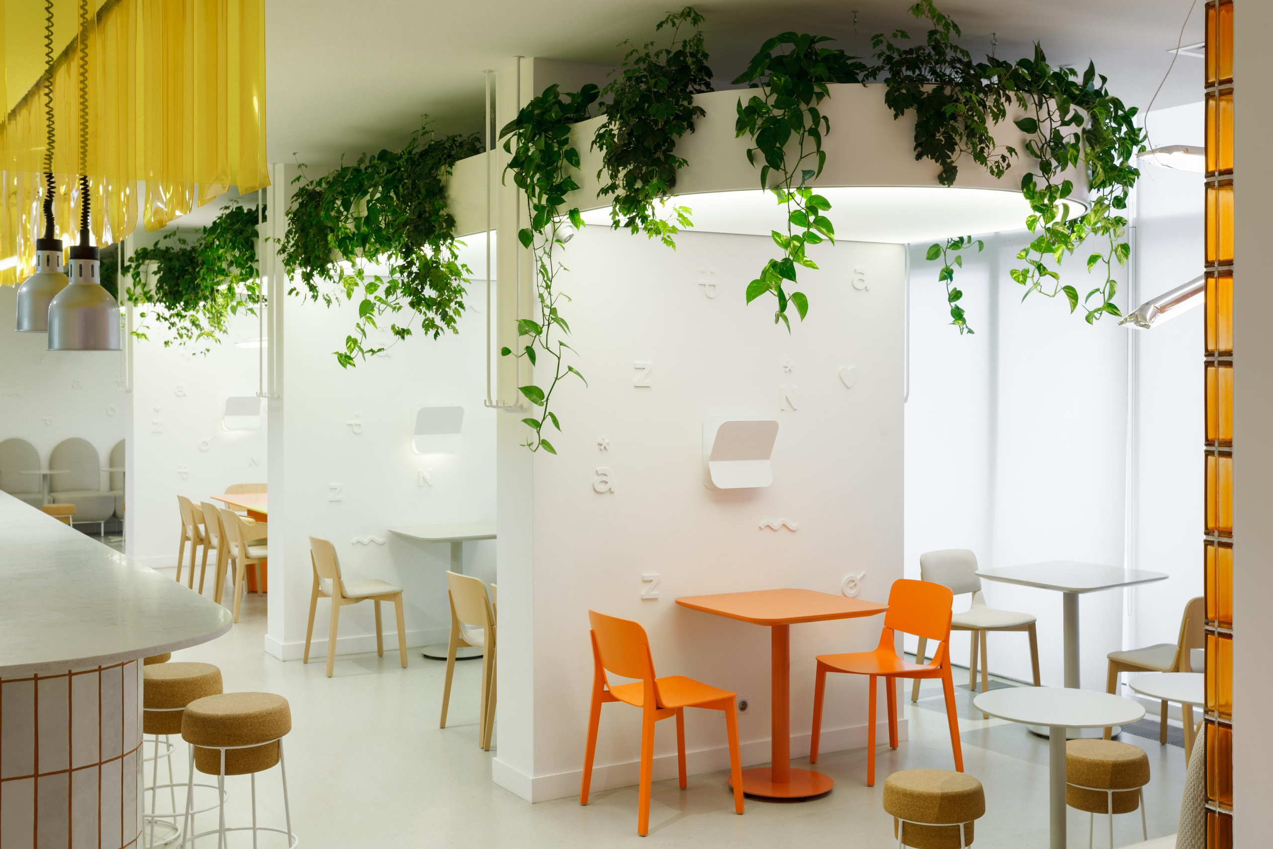 Алексей Шмуль