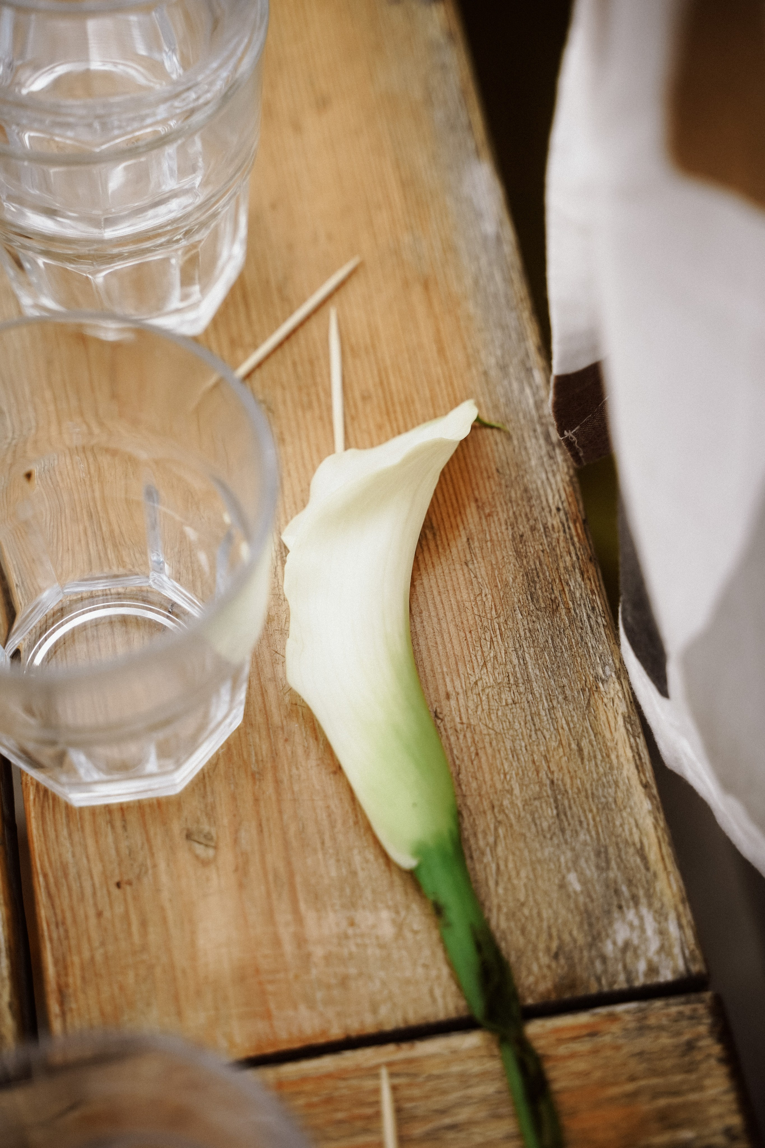 Тбилиси-на-Дону. Фотограф в Ростове-на-Дону и Краснодаре Роман Кудрявцев