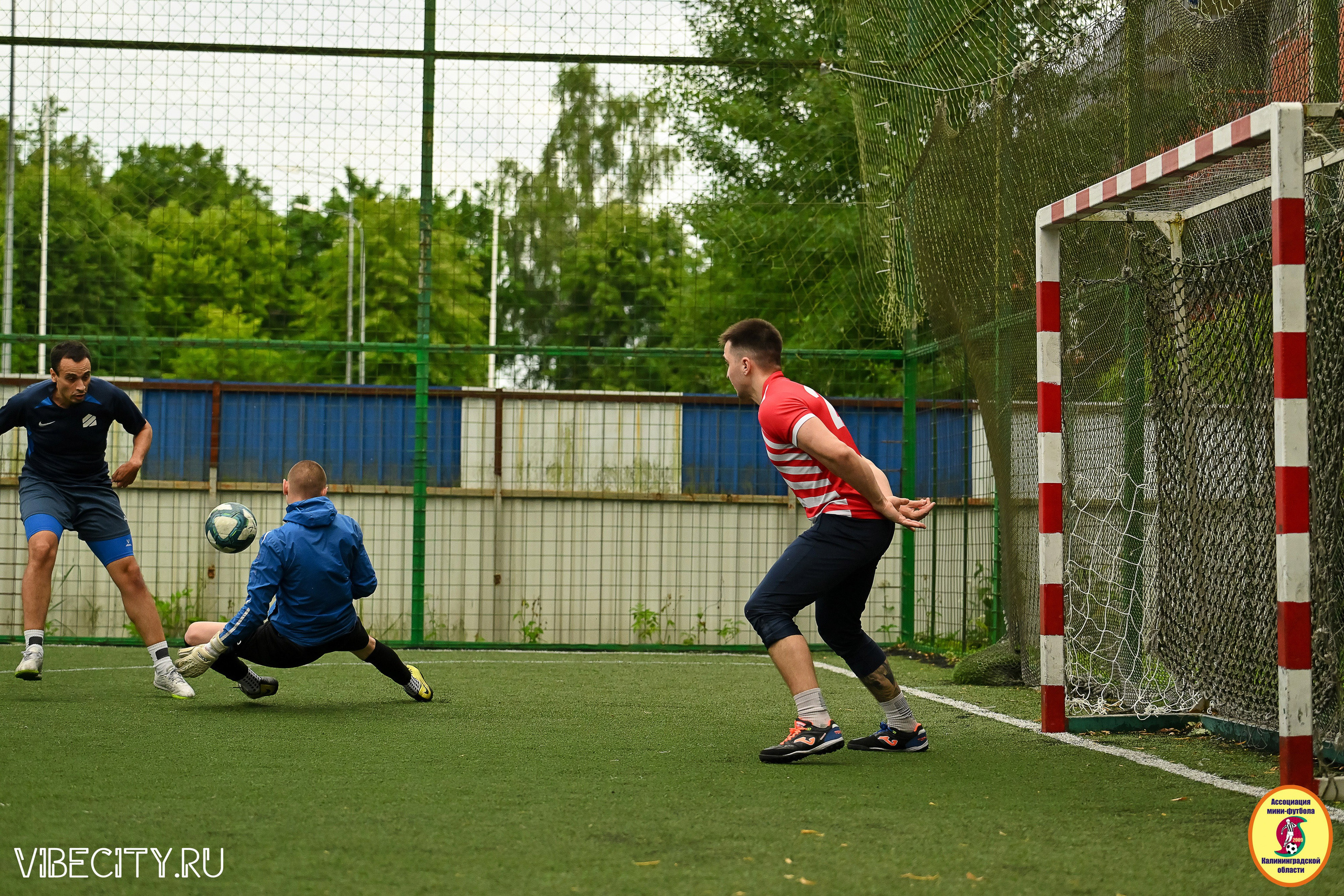 ИГРЫ МИНИ-ФУТБОЛЬНОЙ И КОРПОРАТИВНОЙ ЛИГИ. VIBECITY.RU Вайб Сити Ру Фоторепортажи Фотоотчеты Калининград