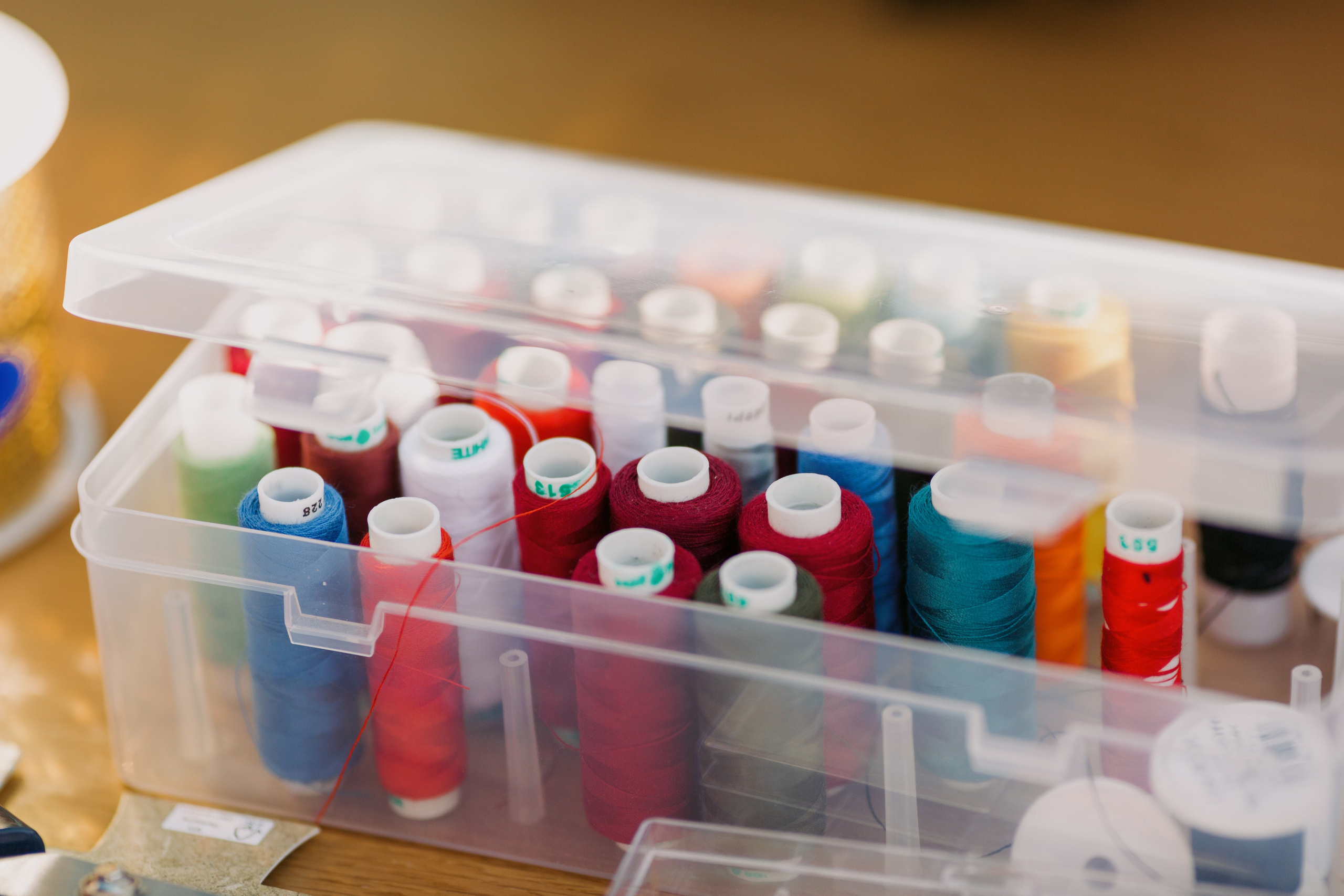 Dog Fest 2024. Главная