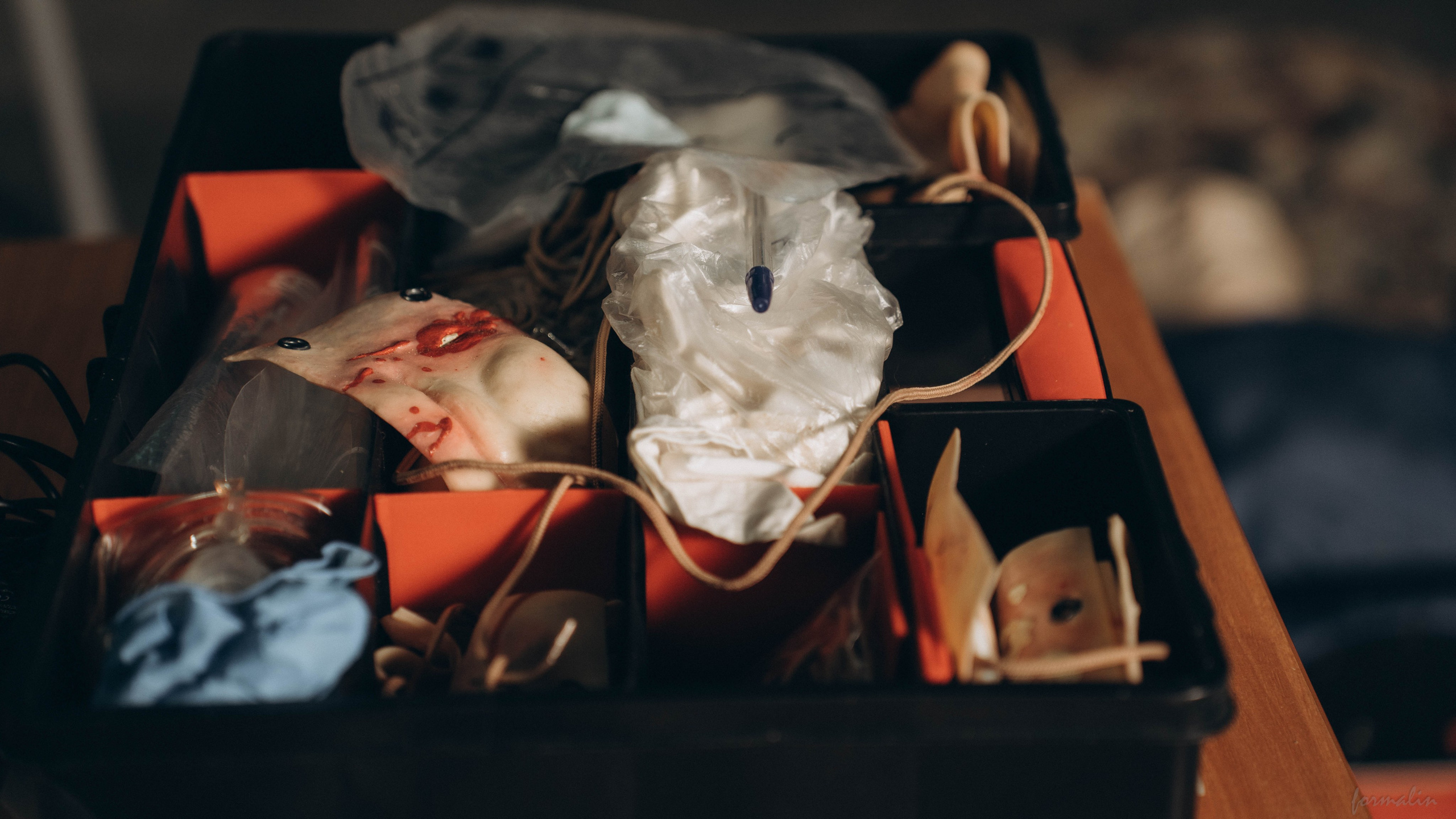 Фестиваль поисковых отрядов РТ 2025. Алиса Никитцова | Фотограф в Казани