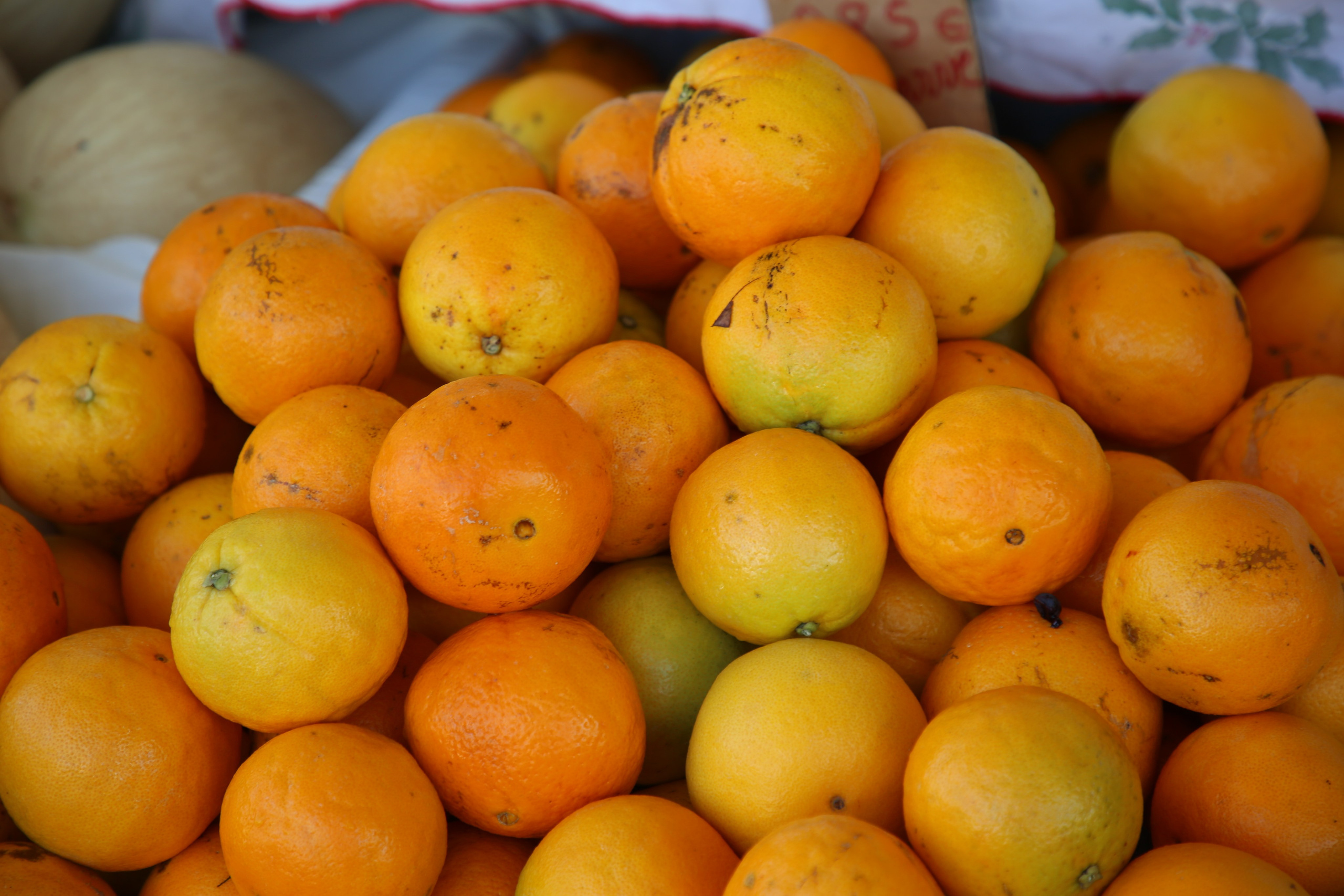 Espihnio, Portugal. Andrey Filippov Photographer