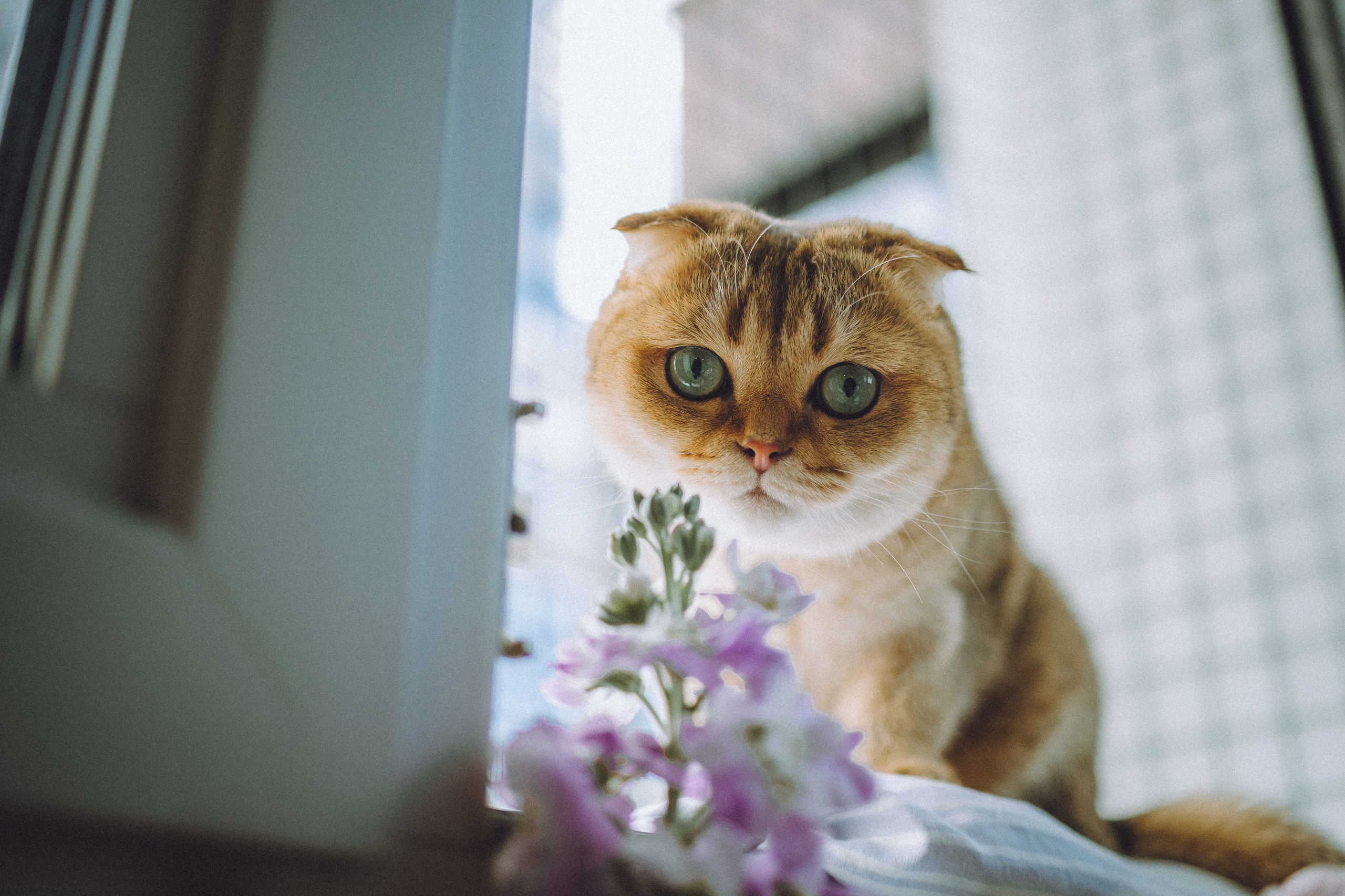 Генри и его семья