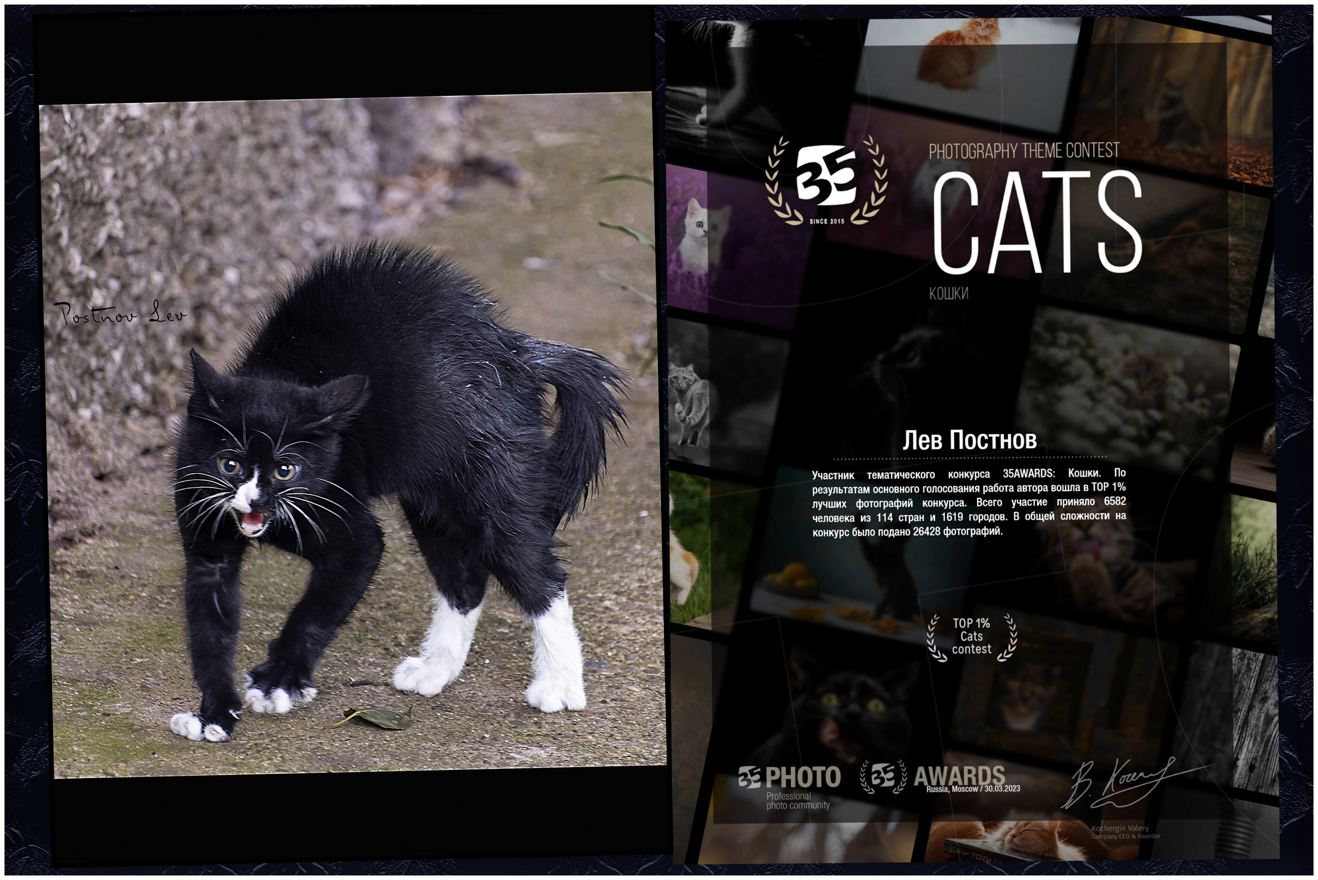 Мои маленькие победы. Лев Постнов.Фотограф. Нижний Новгород