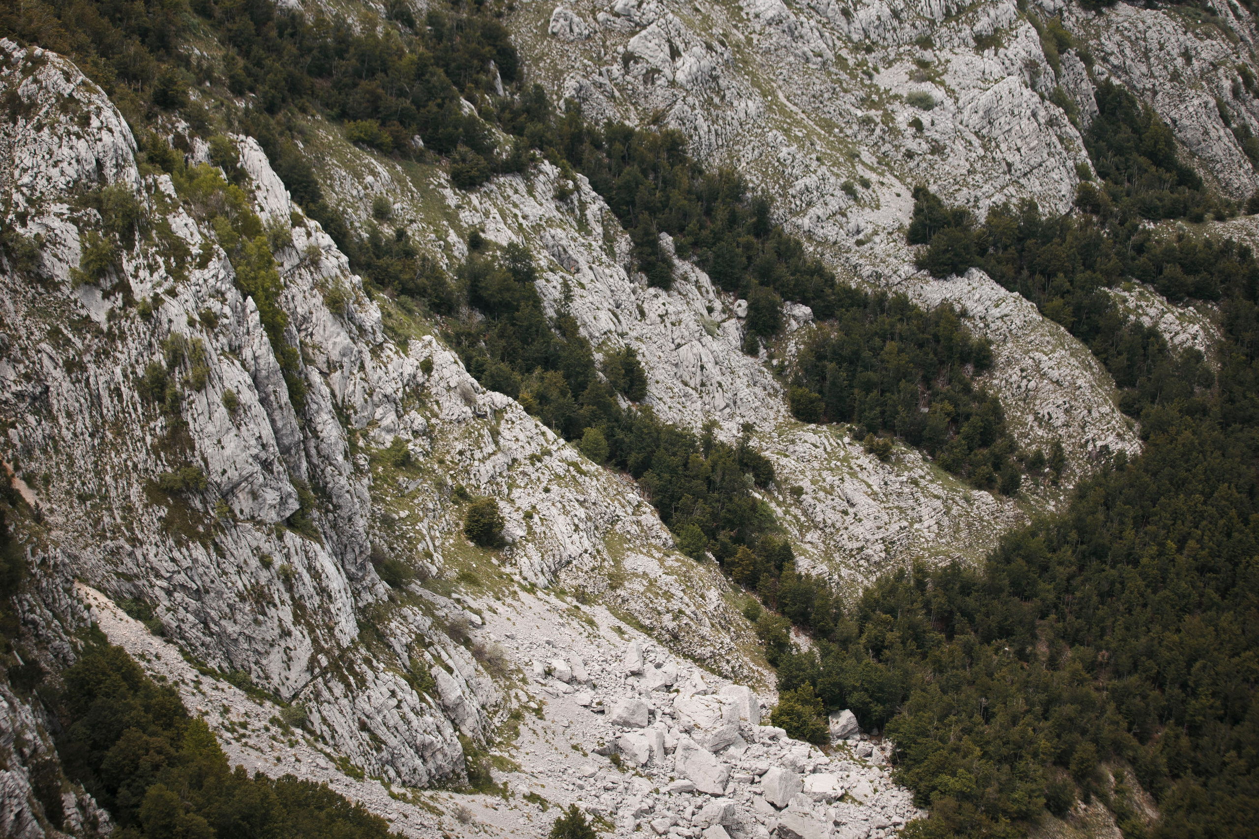 Nikolya. Photographer in Montenegro Tatiana Talaeva