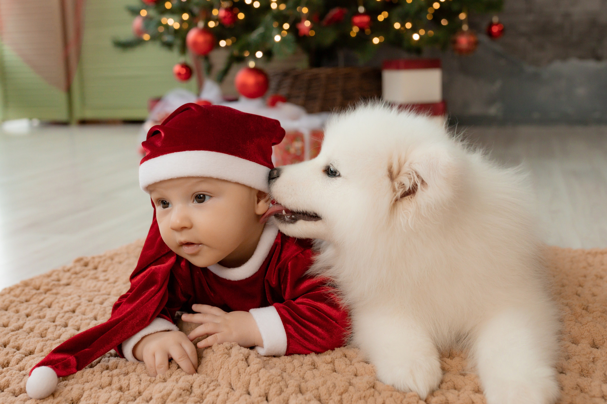 Новогодние съёмки. Интерьерная фотостудия в г. Барнаул