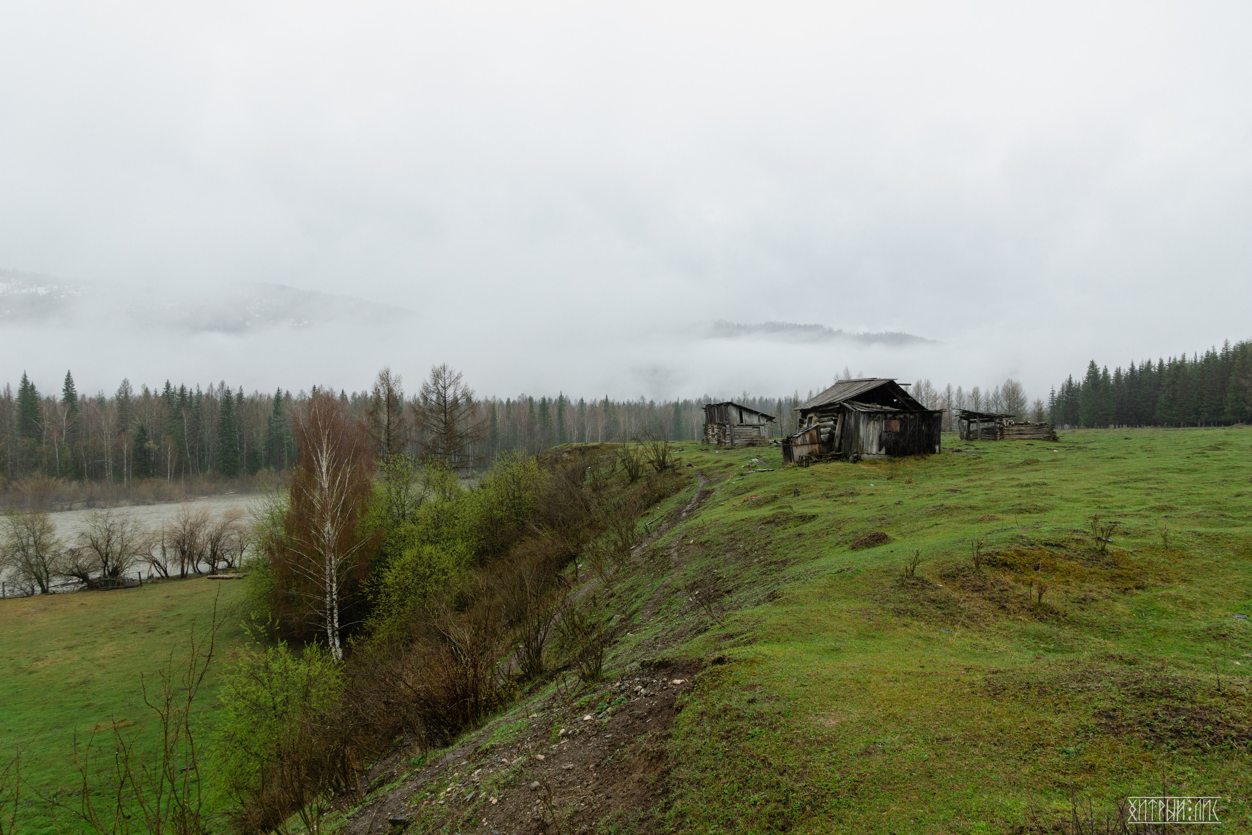 Алтай. Фотограф-путешественник Самойлов Максим «Sly Fox»