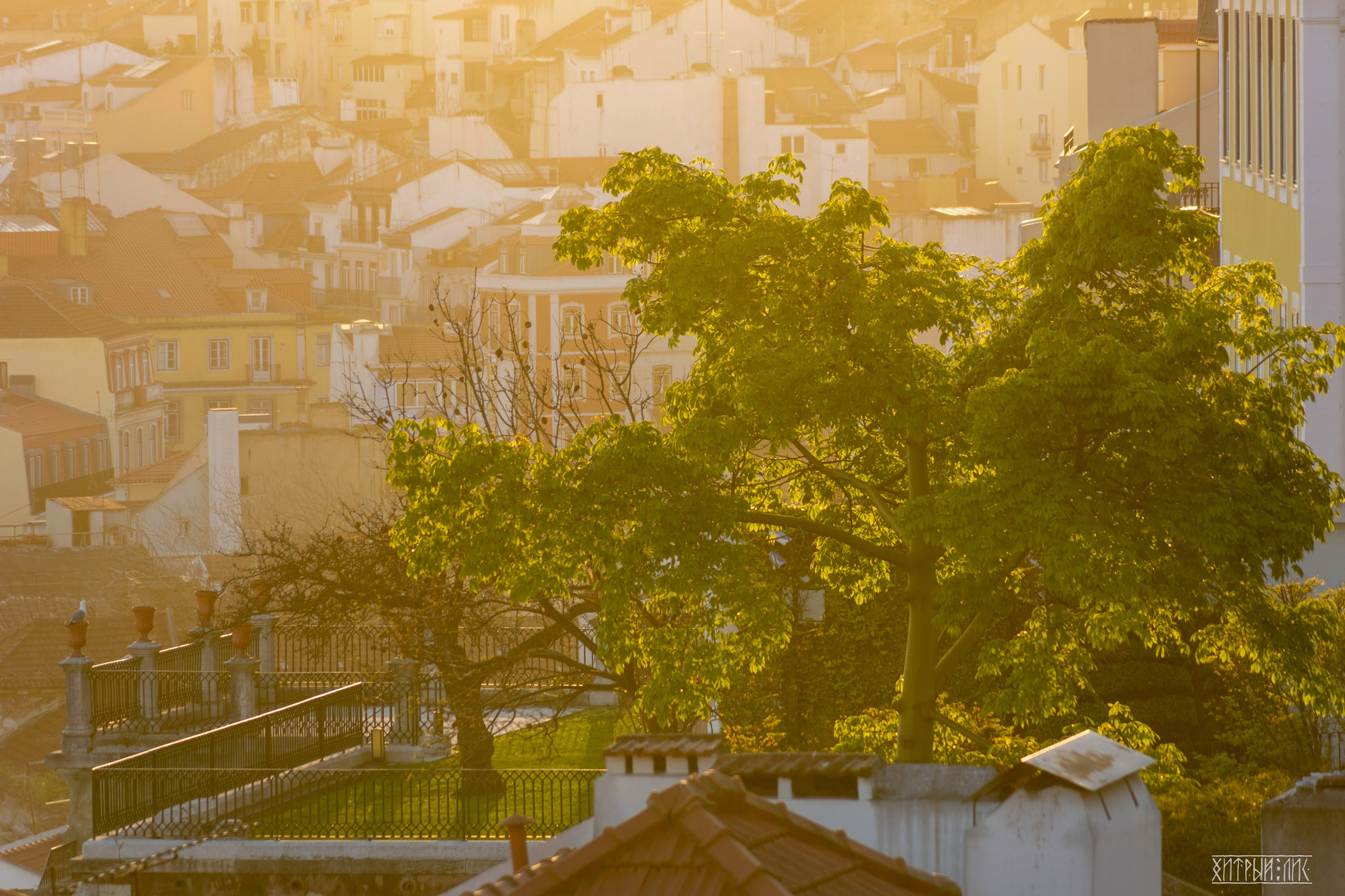 Лиссабон. Фотограф-путешественник Самойлов Максим «Sly Fox»