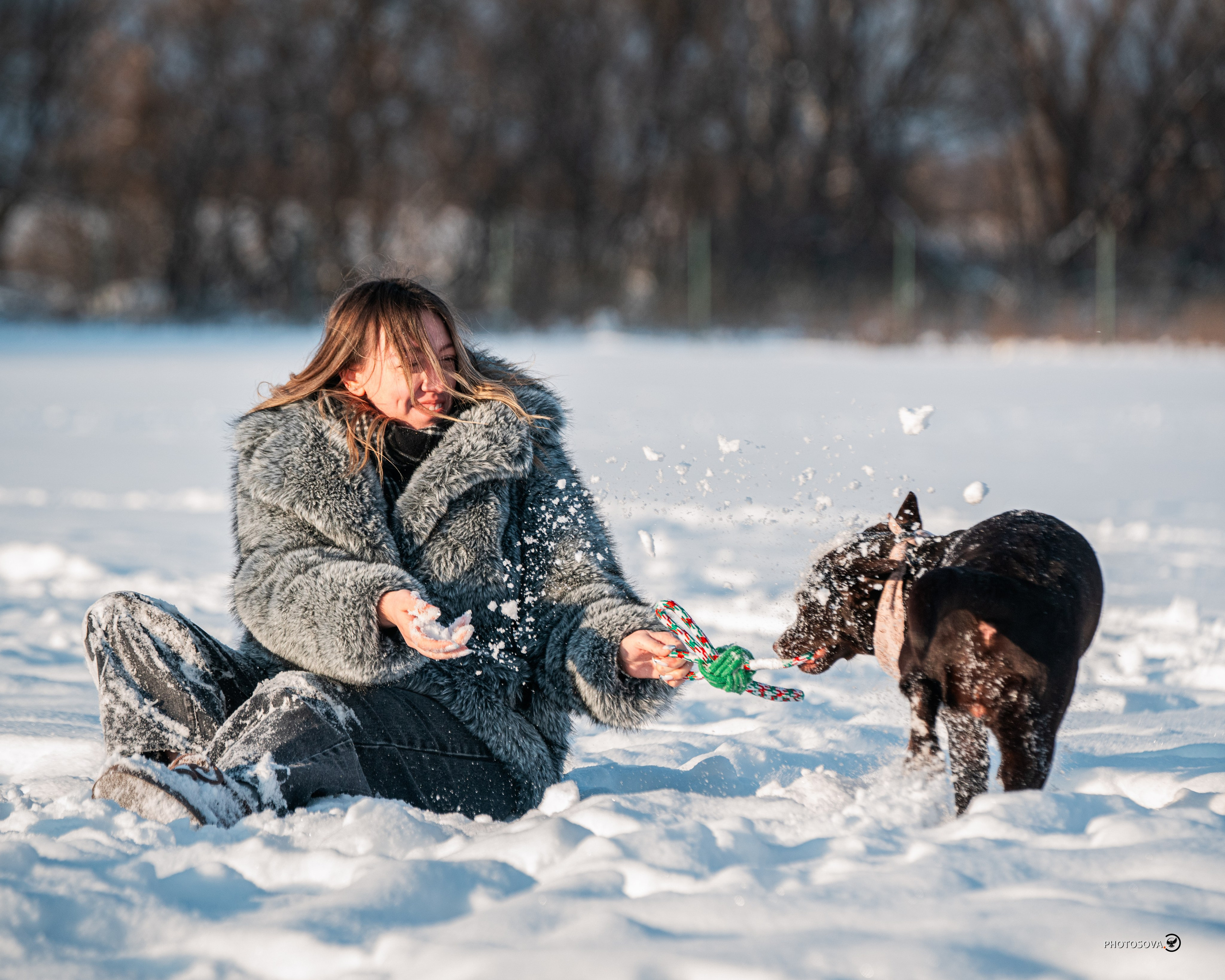 ФОТОПАМЯТЬ ВАШИХ ЭМОЦИЙ. Фотограф-анималист, семейный фотограф в Москве и Подмосковье. Фотосъёмка кинологических дисциплин