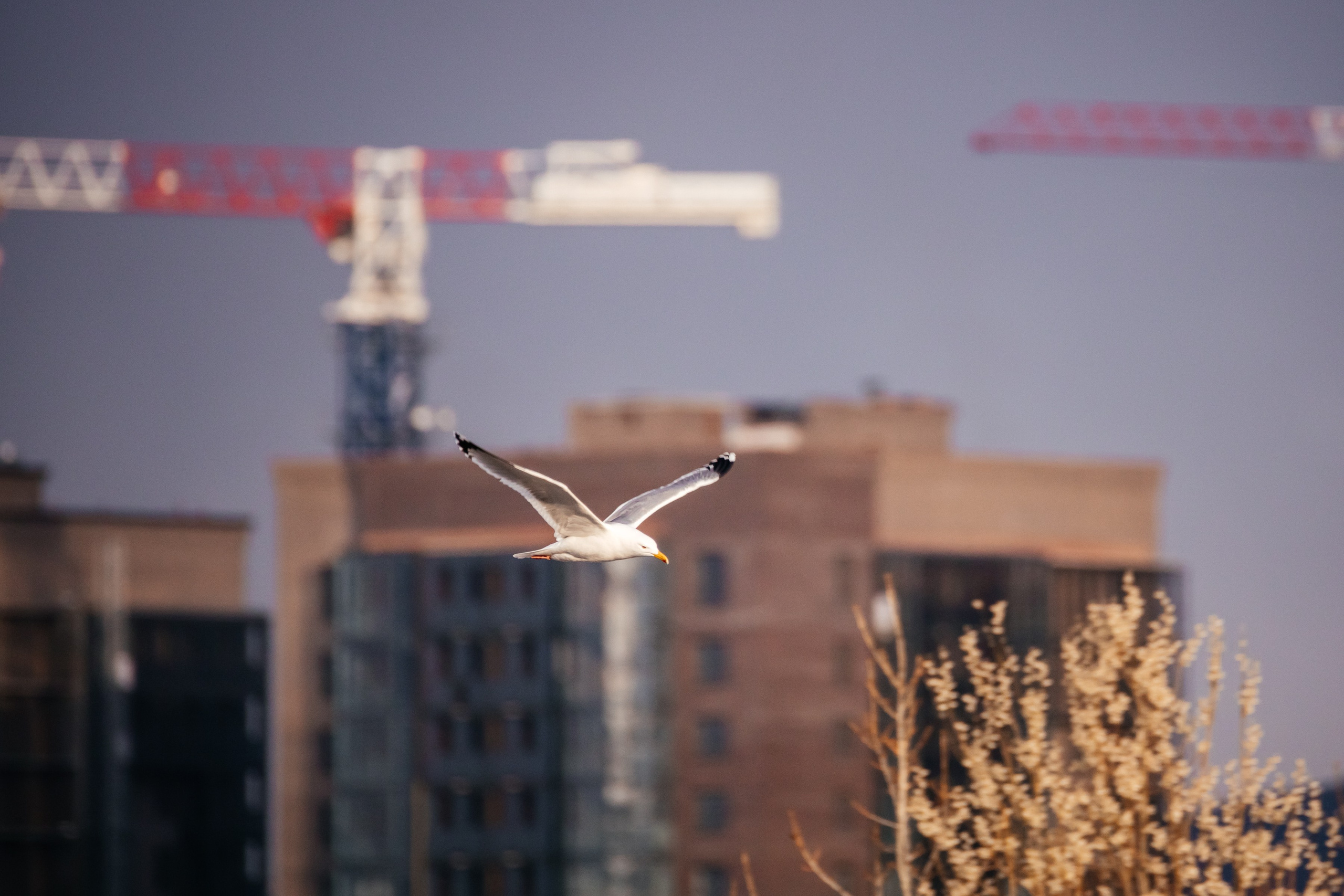 Город. Фотограф в Красноярске Оксана Корчагина