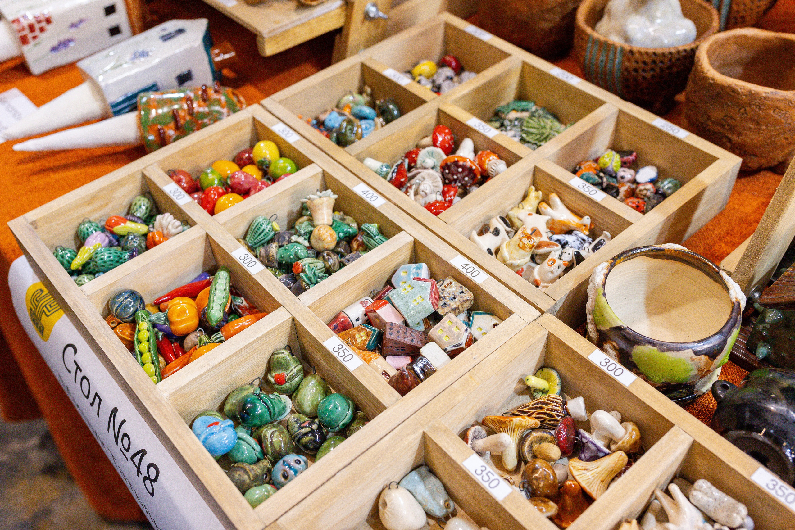 Кактус Фест. Александра Куликова фотограф, Москва