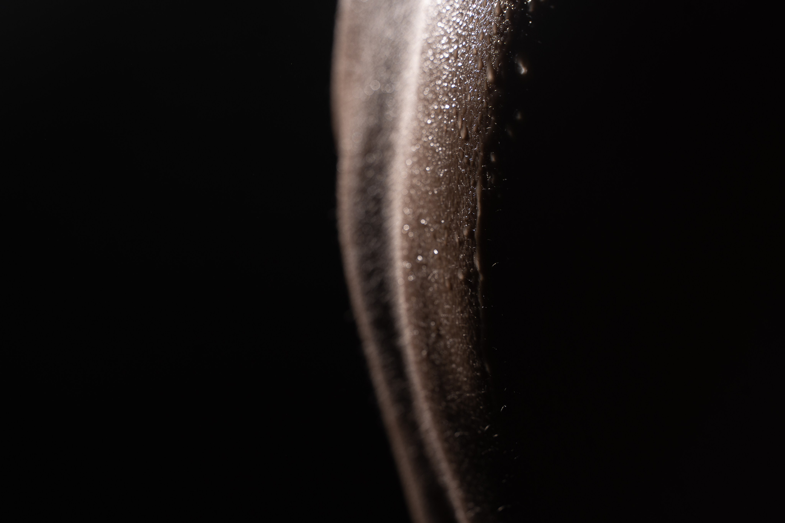 Арт-ню. Арт-ню Н.Новгород/Москва