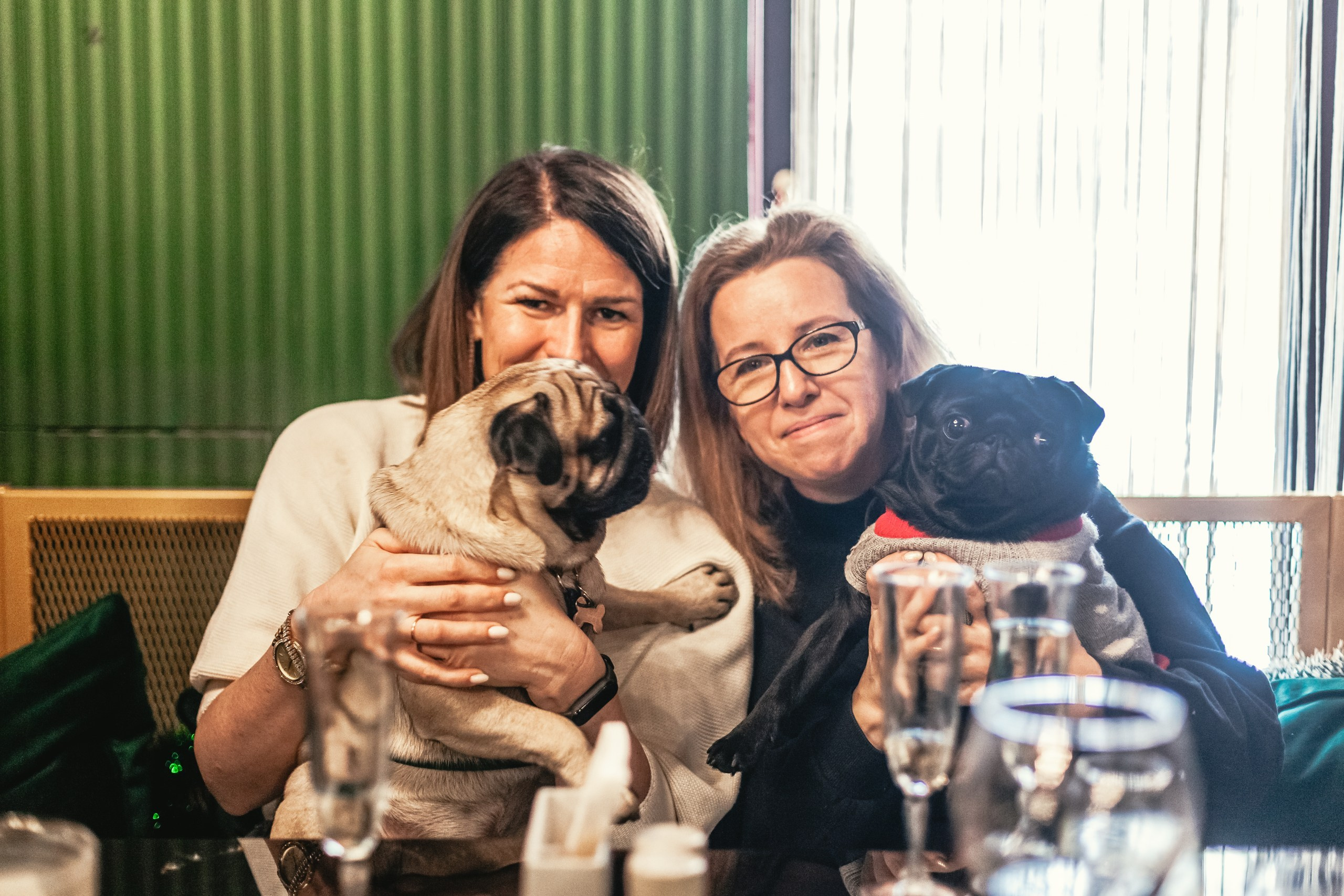 Мопсовстреча 02.12.2023. Фотограф-анималист Татьяна Степанова