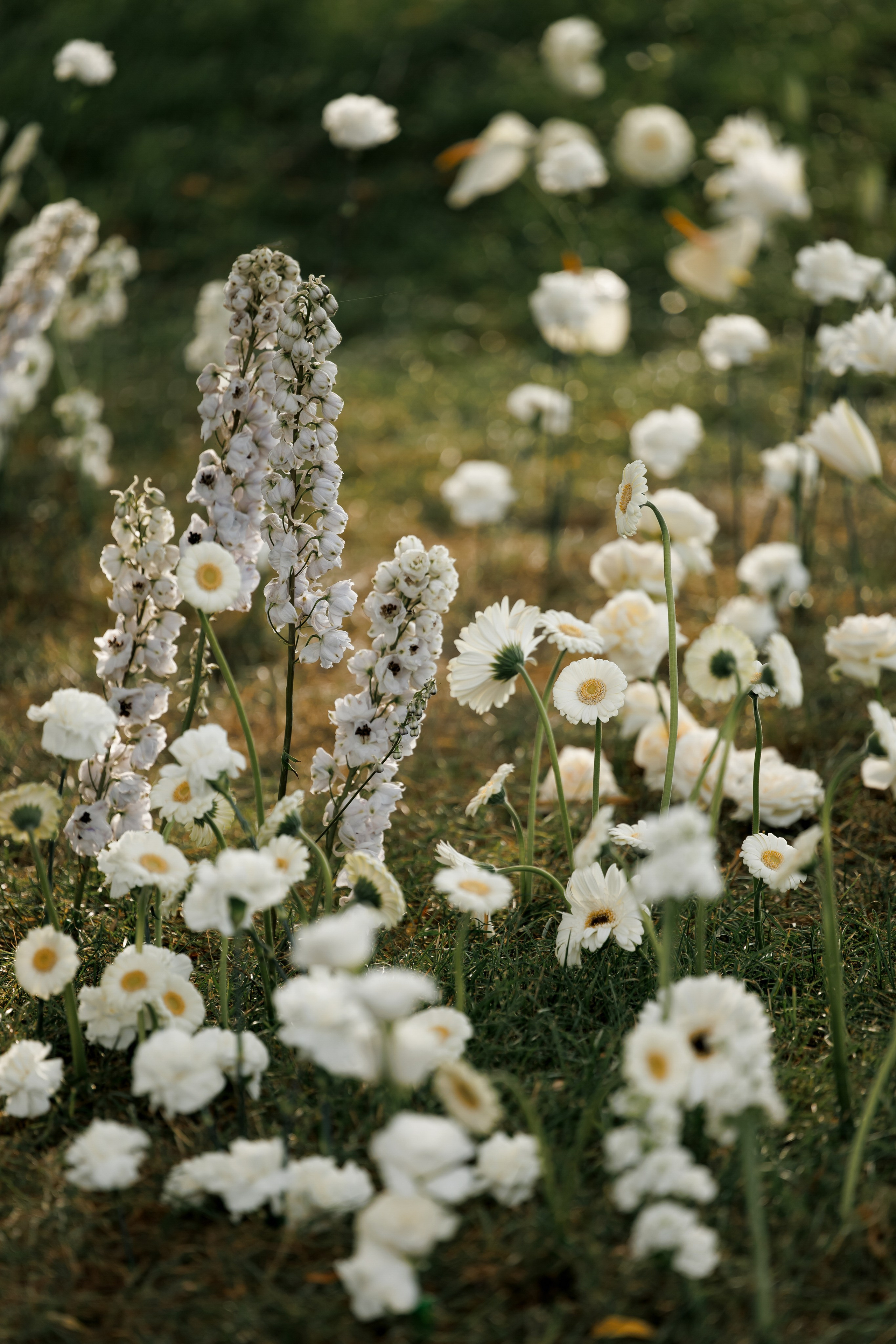 Владимир и Екатерина. Wedding and Reportage photographer Marmarov Christya