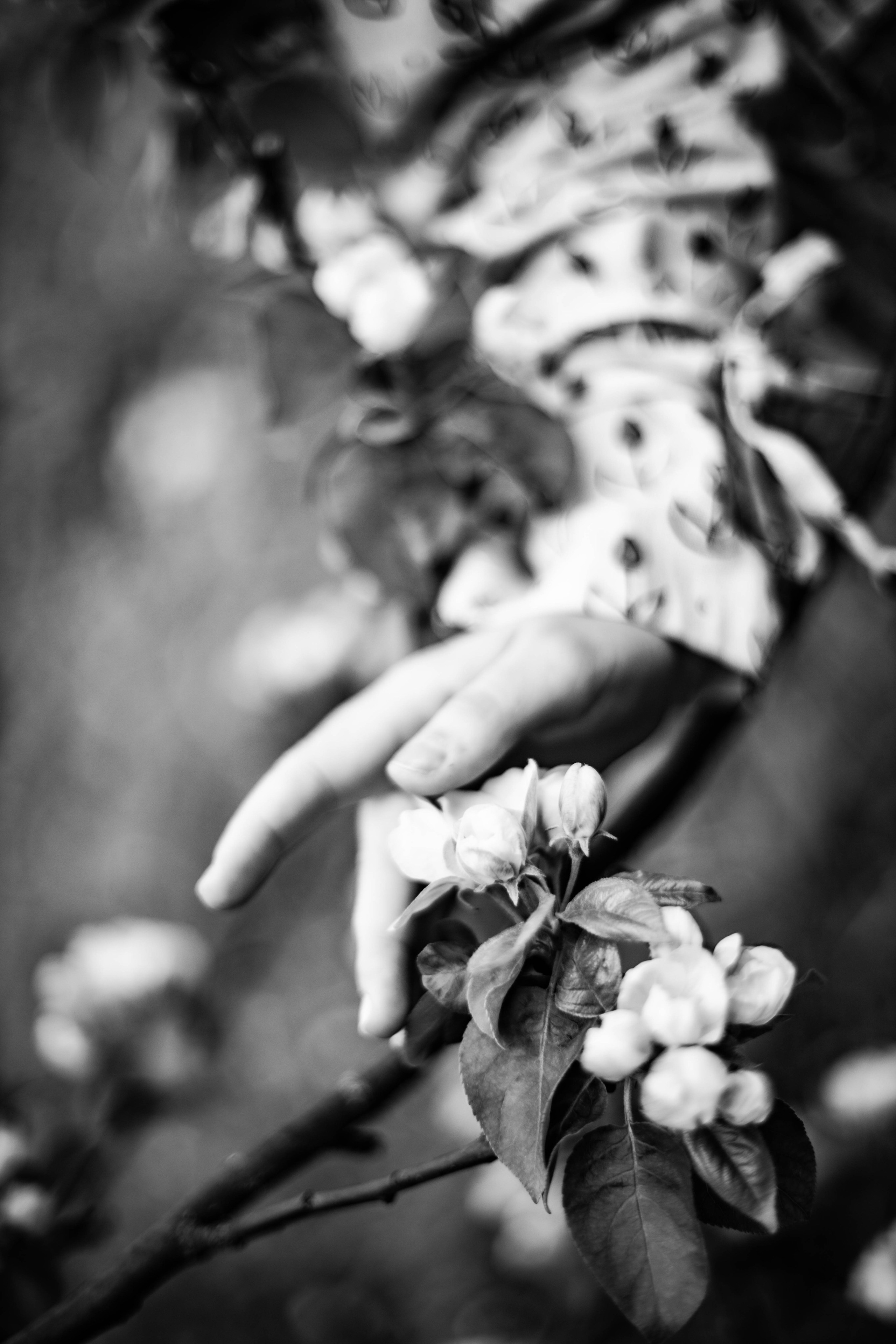 Настасья в цветении. Фотограф в Нижнем Новгороде