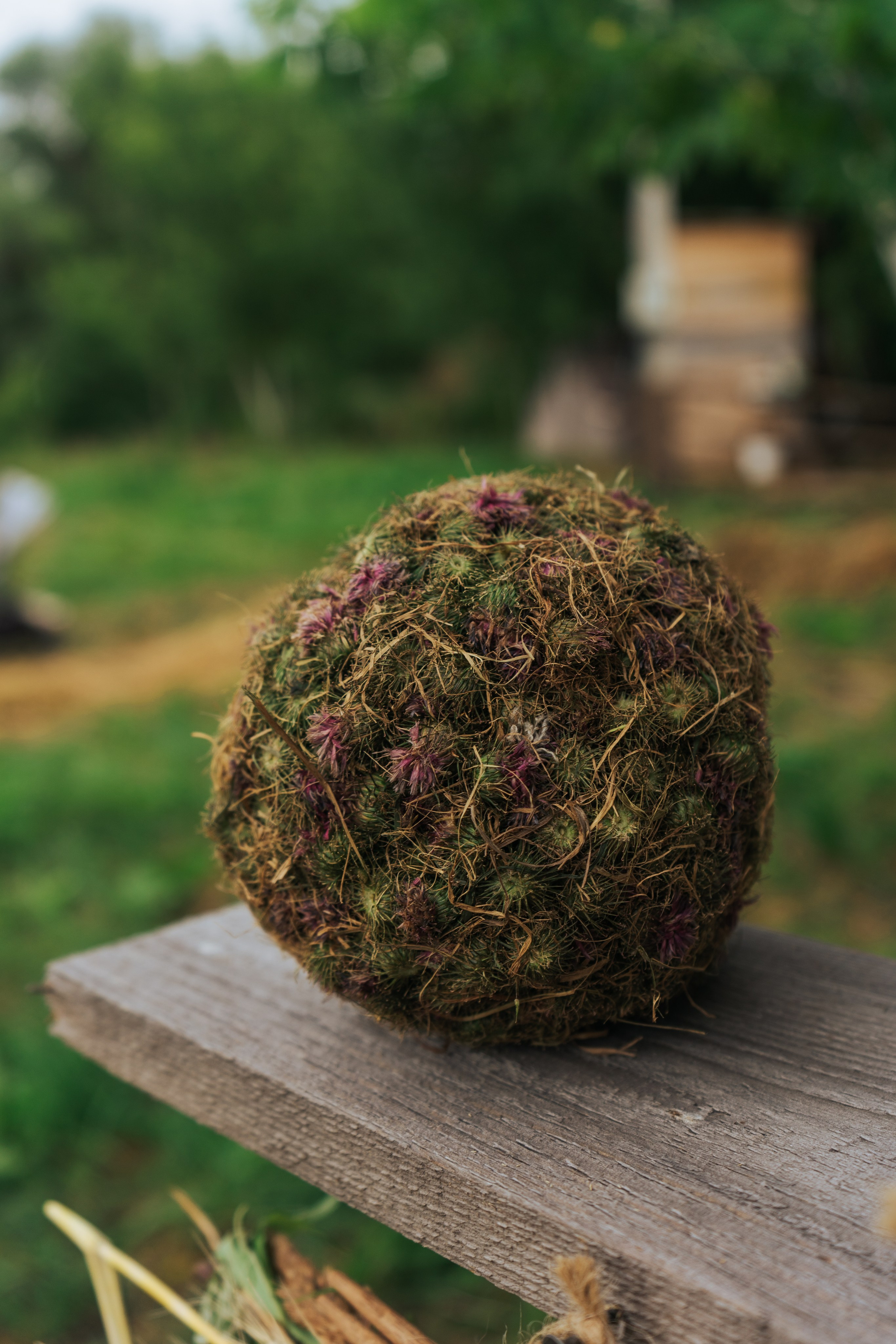 Ретрит от т-центра Псайторий 2024. Портретный фотограф Нижний Новгород