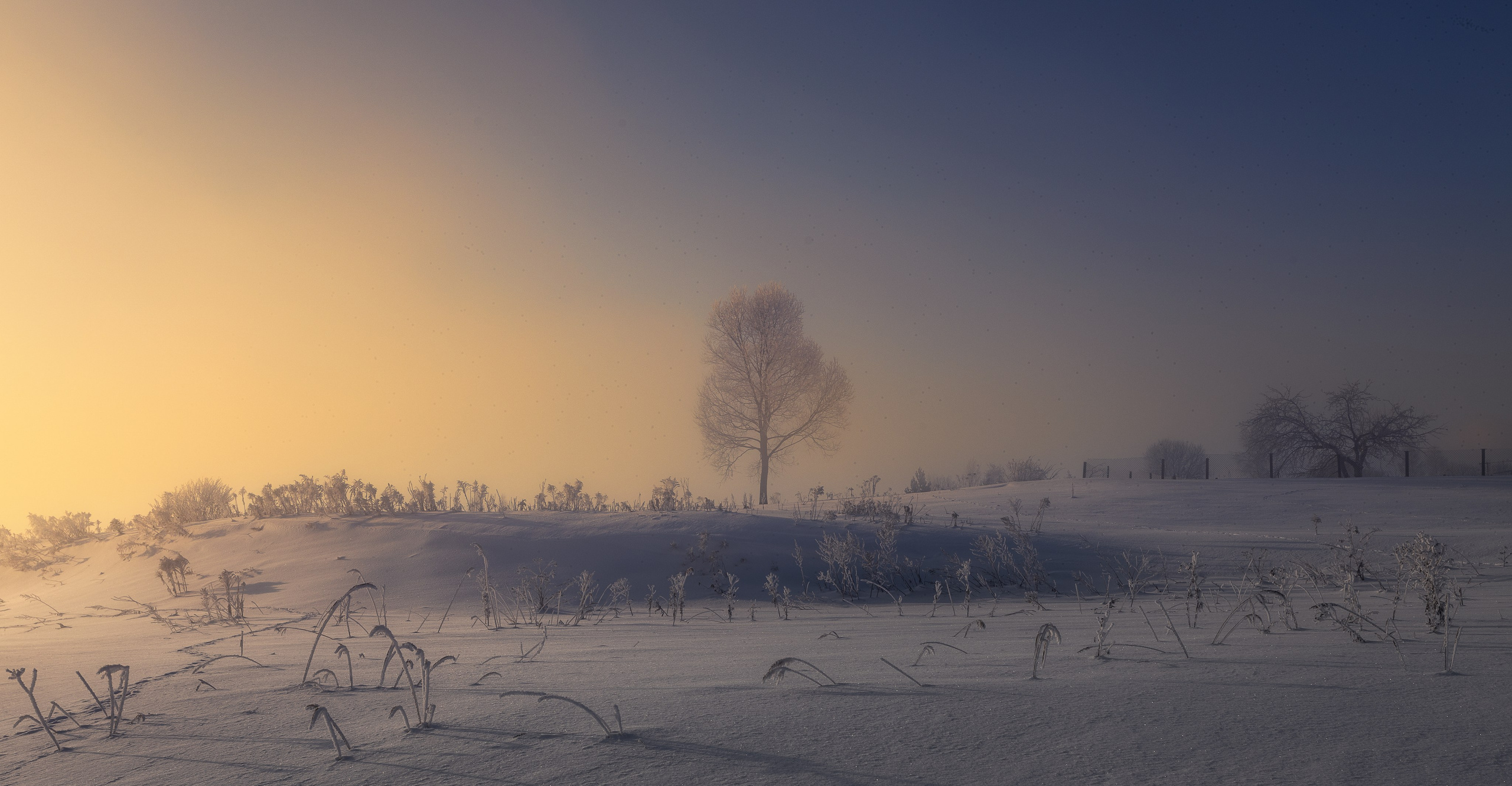 Ручей Деготня. Николай Брытков — фотограф в Туле