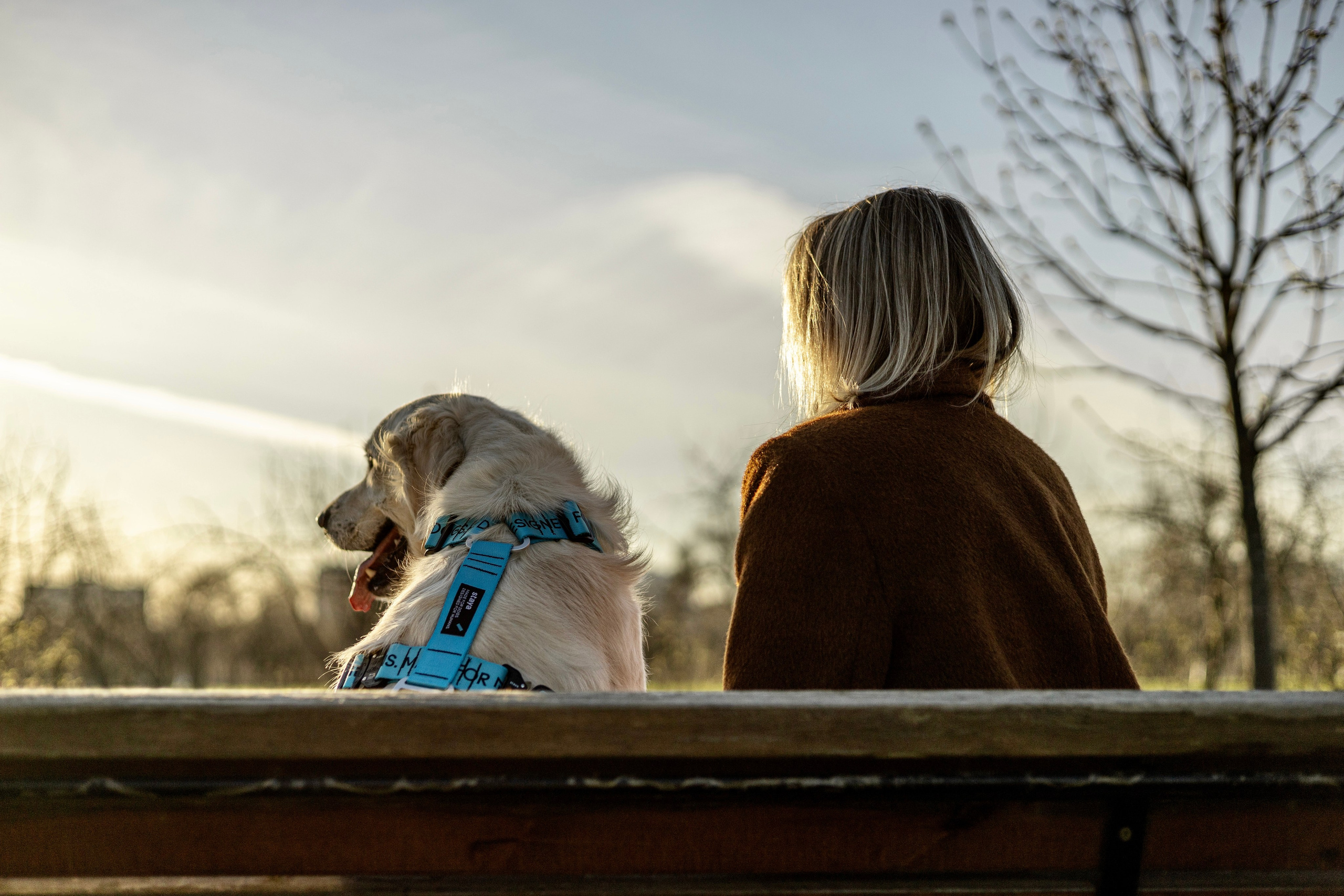 Зиз и Юля. Часть 2. Фотограф-анималист Ксения Шевцова|Москва