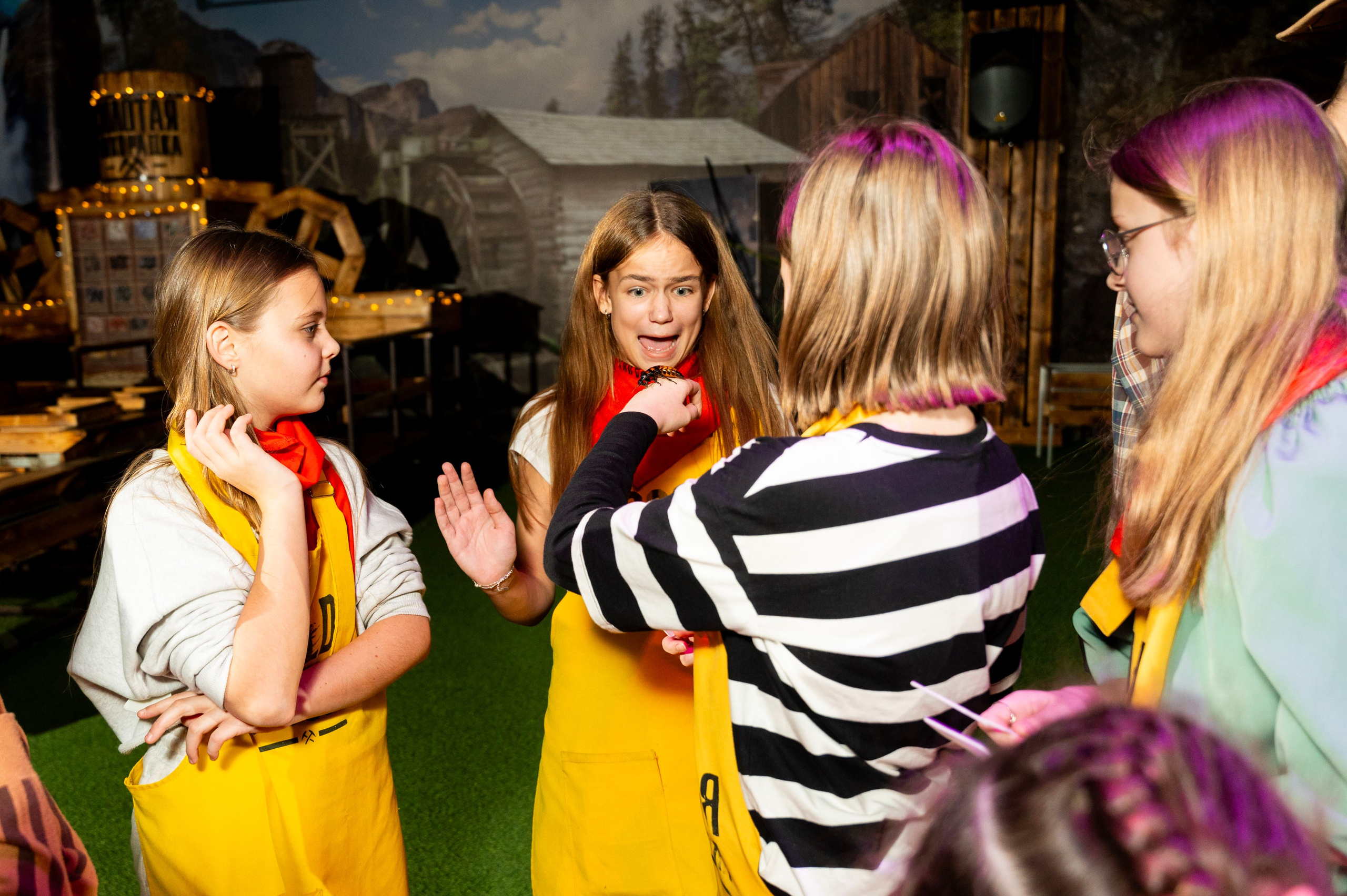 Квесты. Фотограф Юлия Попова