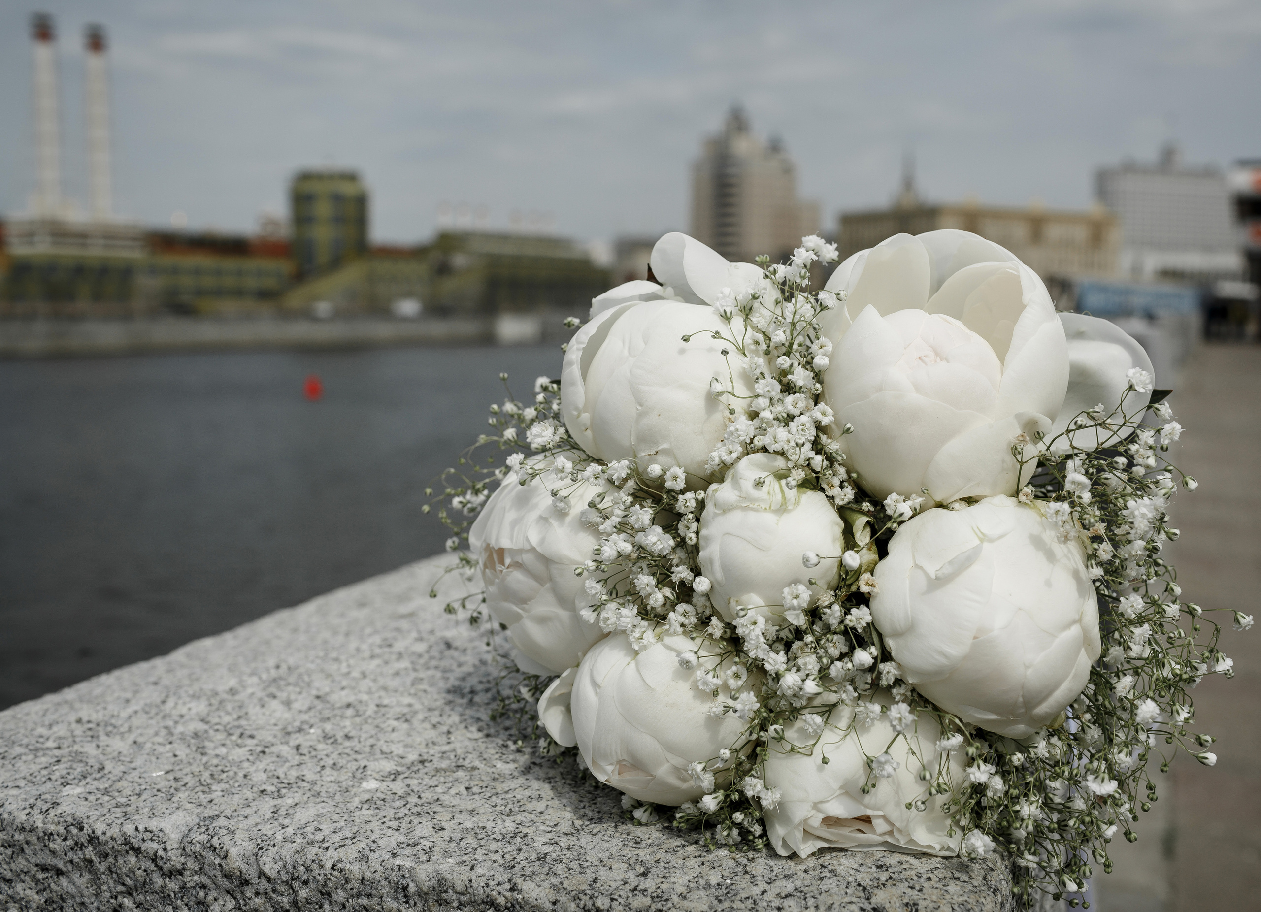 Дарья и Владимир. Свадебный фотограф Расторгуев Дмитрий