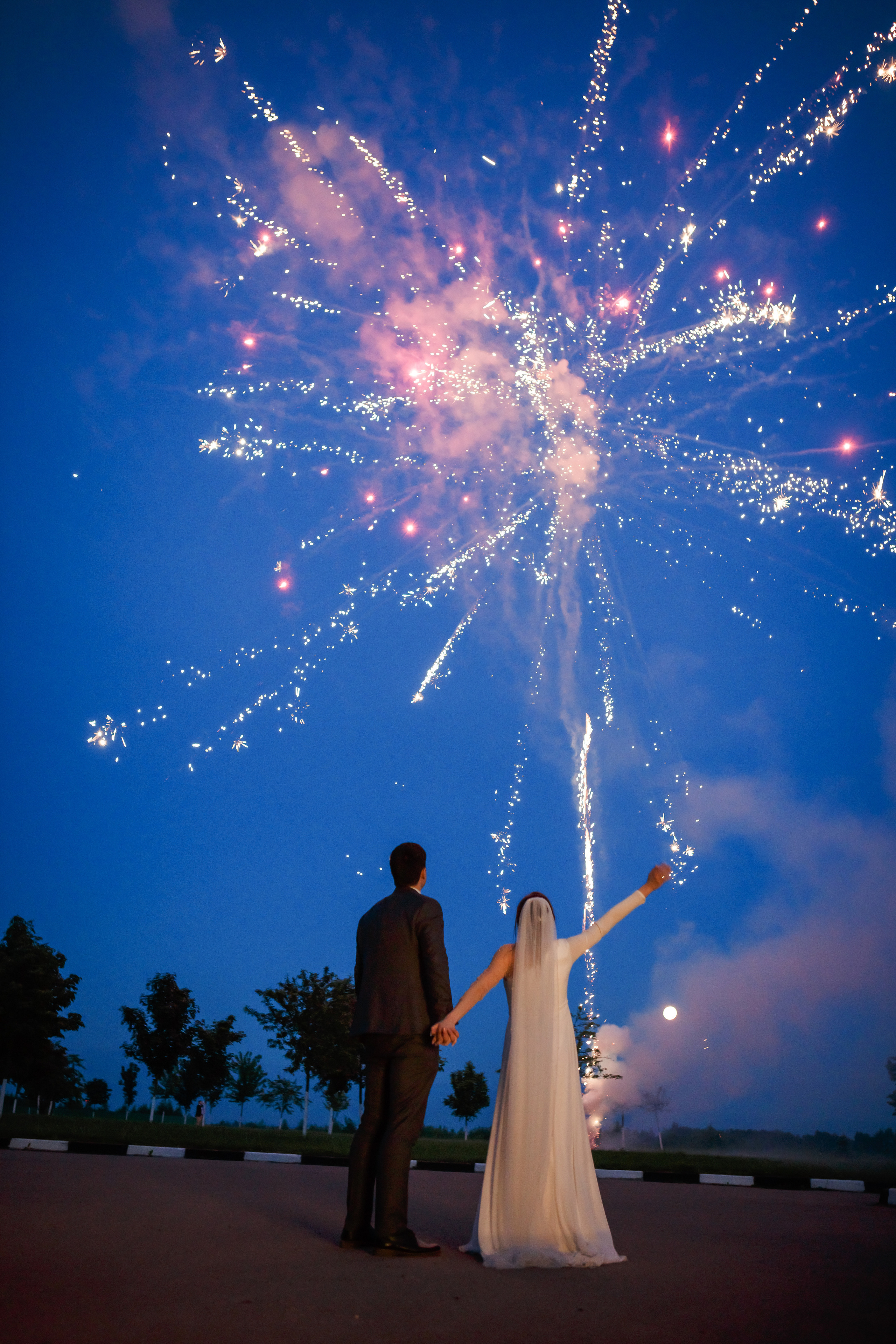 Дарья и Максим. Свадебный фотограф Расторгуев Дмитрий