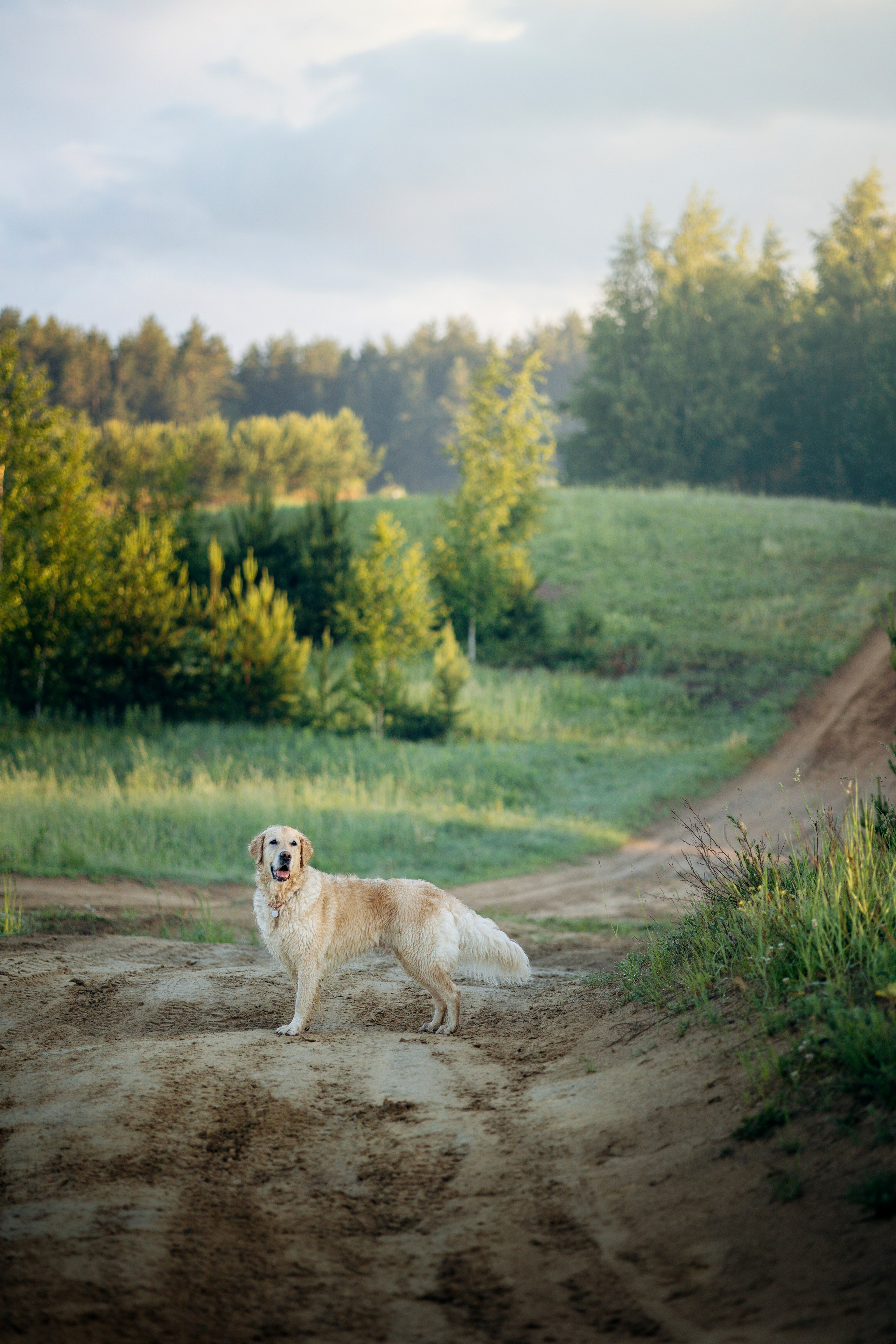 Юля и Руби. Фотограф — Анималист | Санкт-Петербург