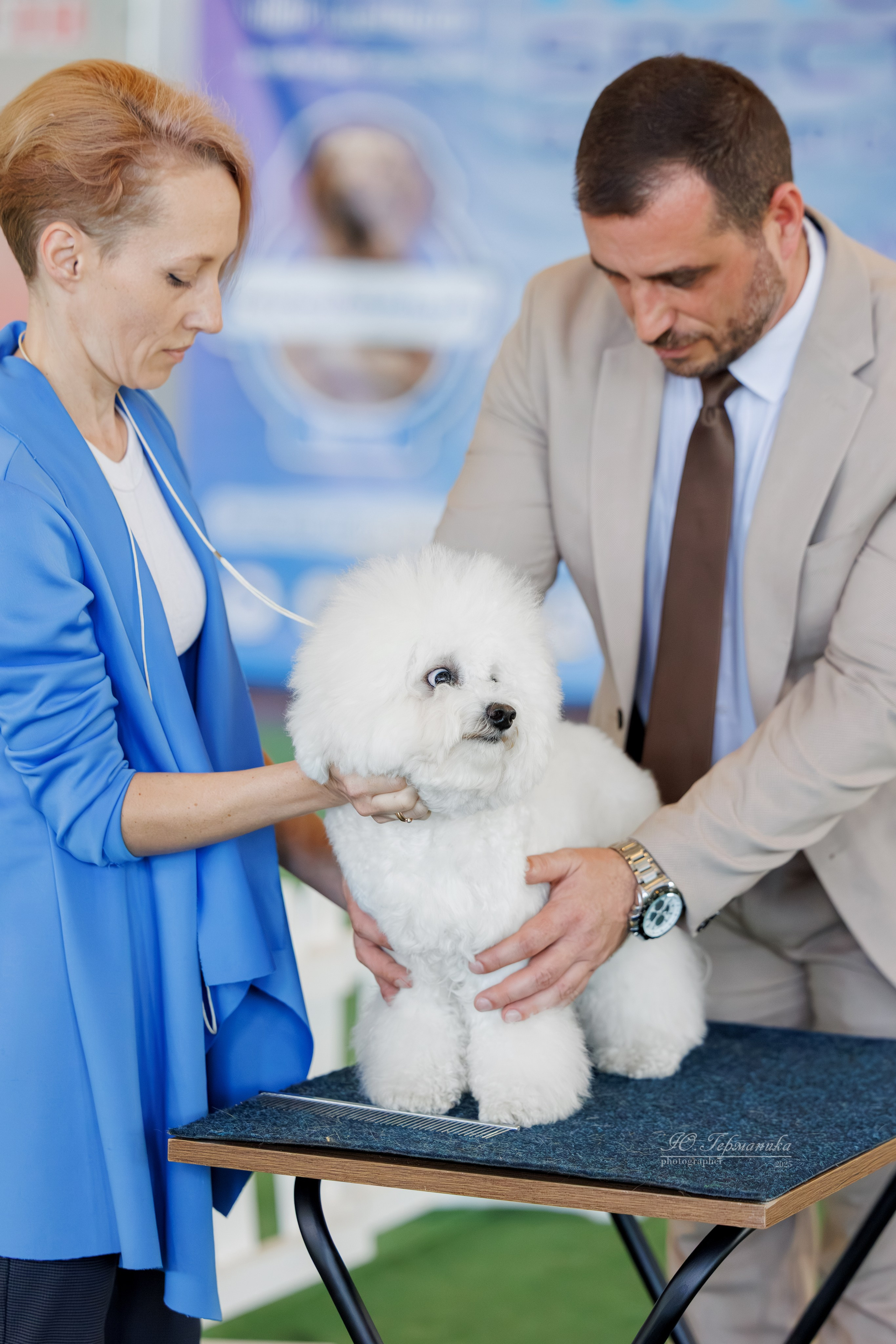 Батуми 3хCACIB 27-29.06.2025. Фотограф-анималист Юлия Германика