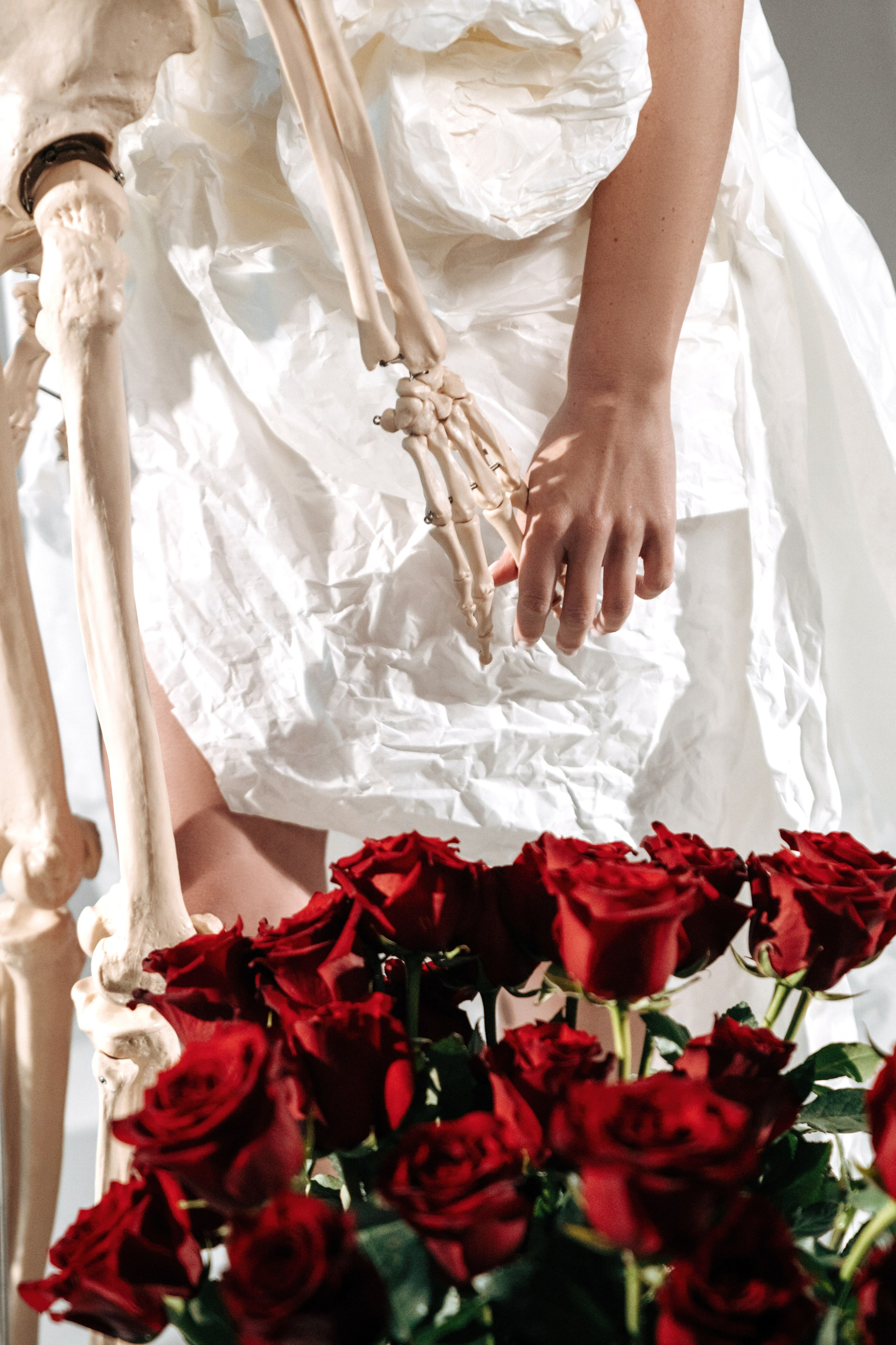 Галерея. Фотограф Анастасия Веселова