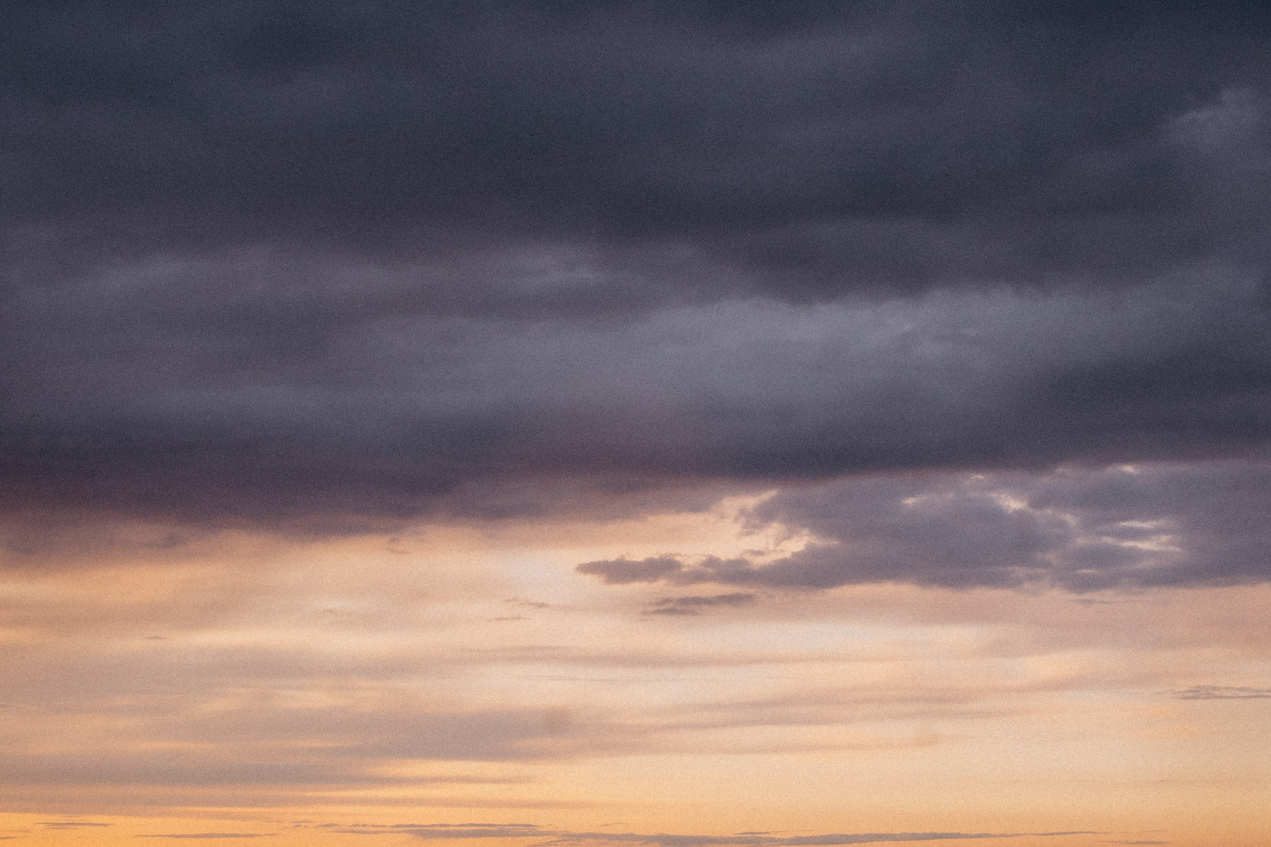 Катя и Берта. Фотограф анималист в Москве и Санкт-Петербурге Свиридова Анна