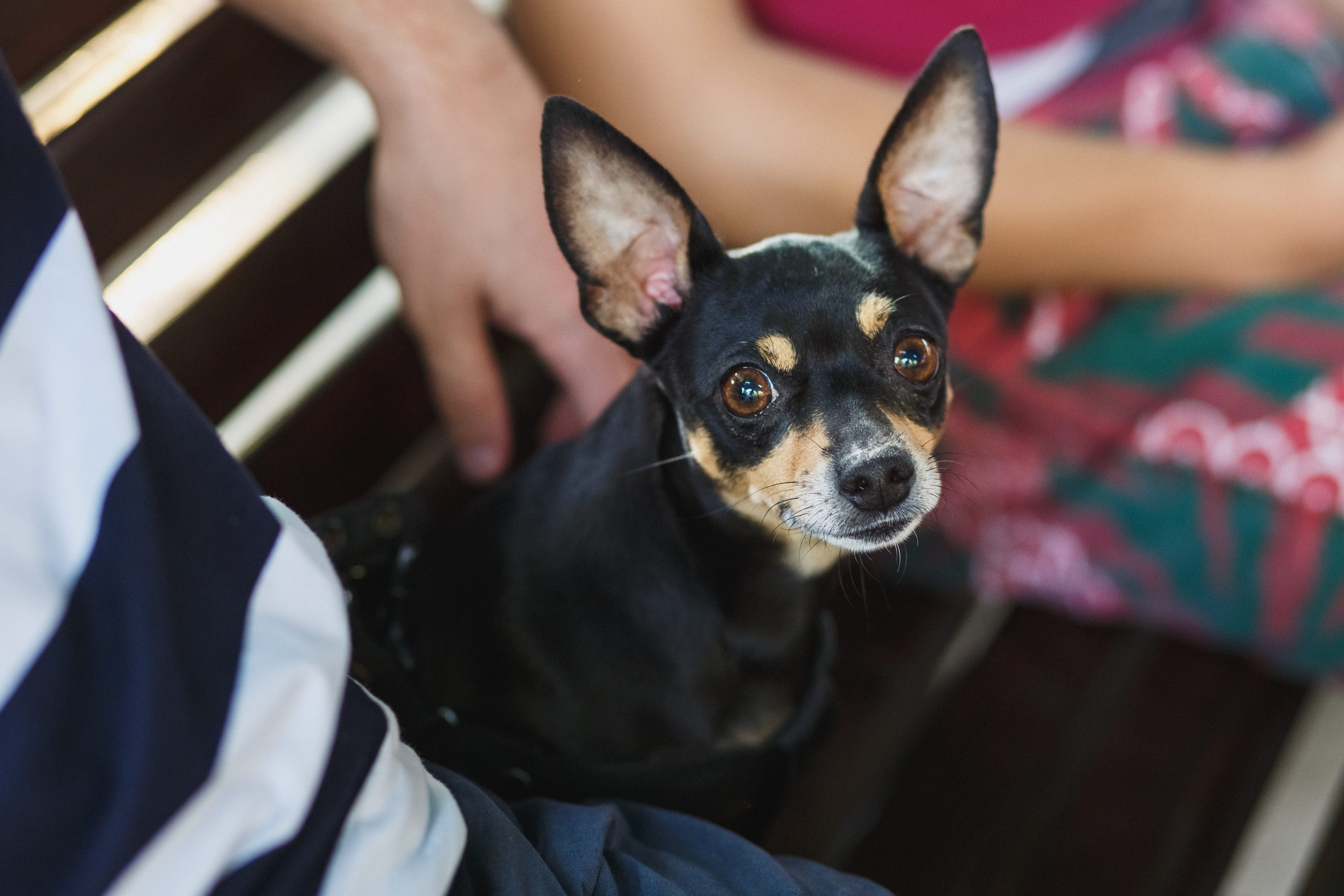 Шутки с уголка: Весёлый день с КВН в Парке Горького Таганрога. Свадебный и семейный фотограф в Таганроге Бакарюк Антон