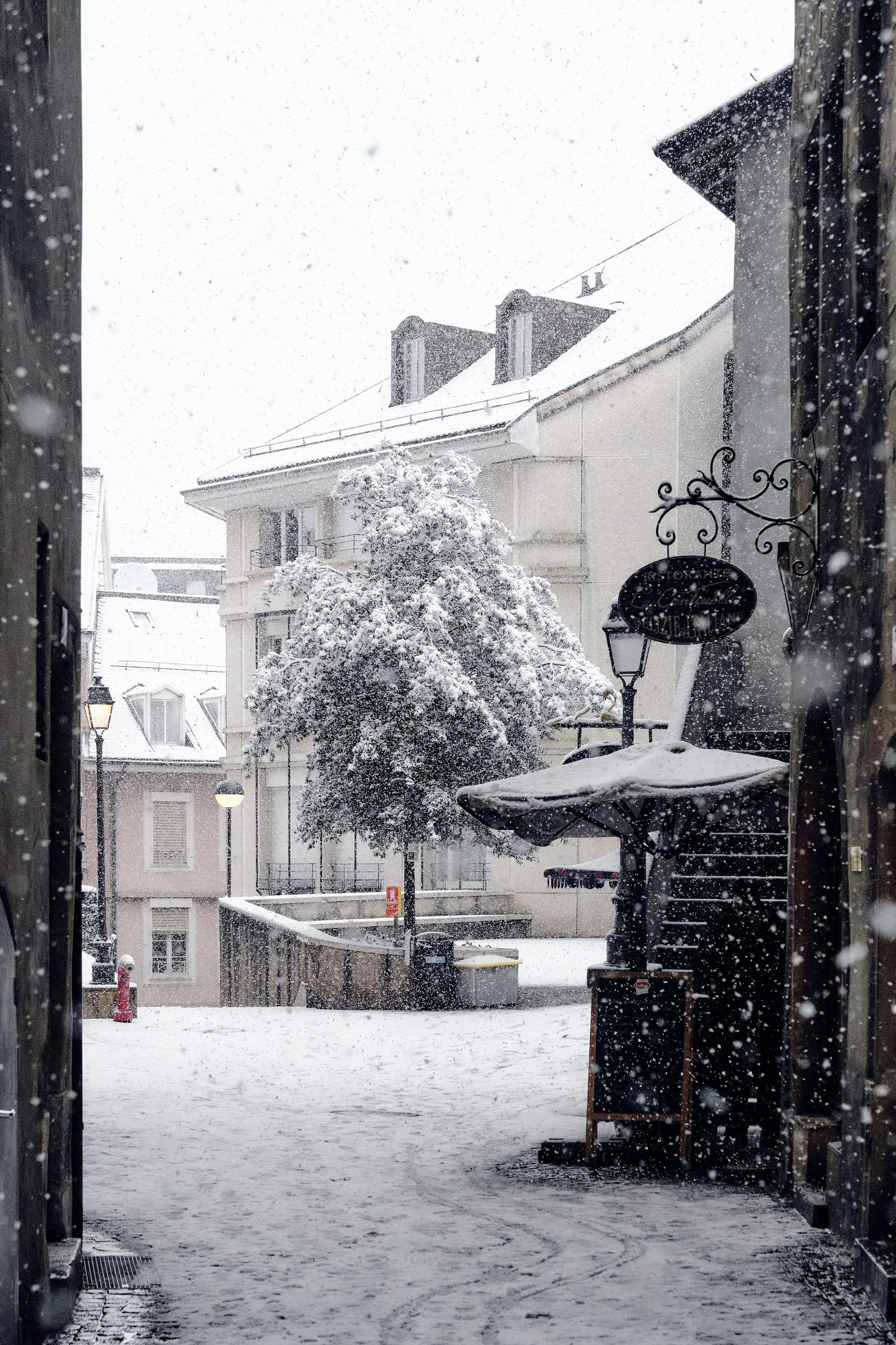 Geneva / winter 2024. Aleksandr Kobtsev