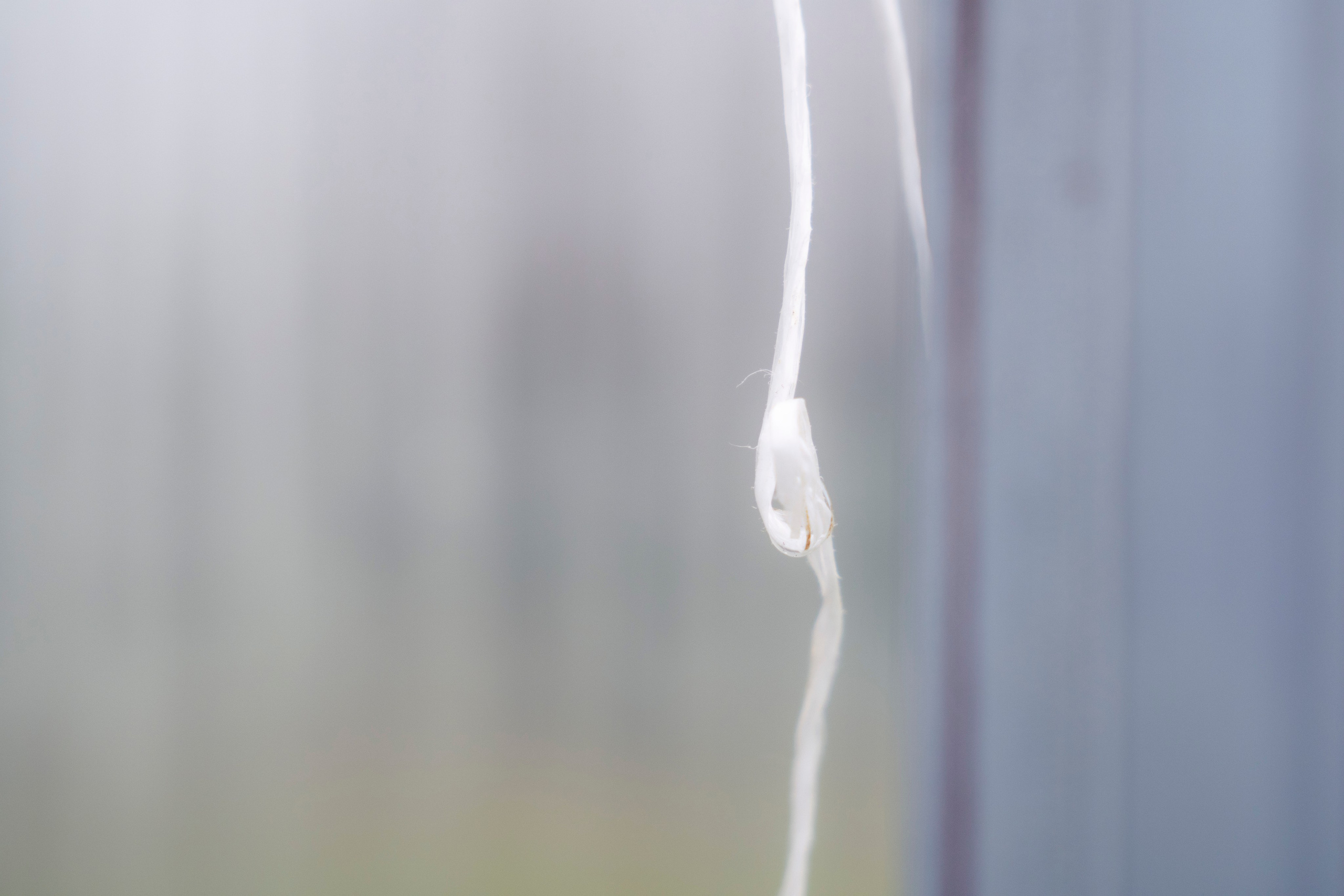 Молчановы. Многолетний проект о молодой семье. Фотограф в Москве Савкина Евгения