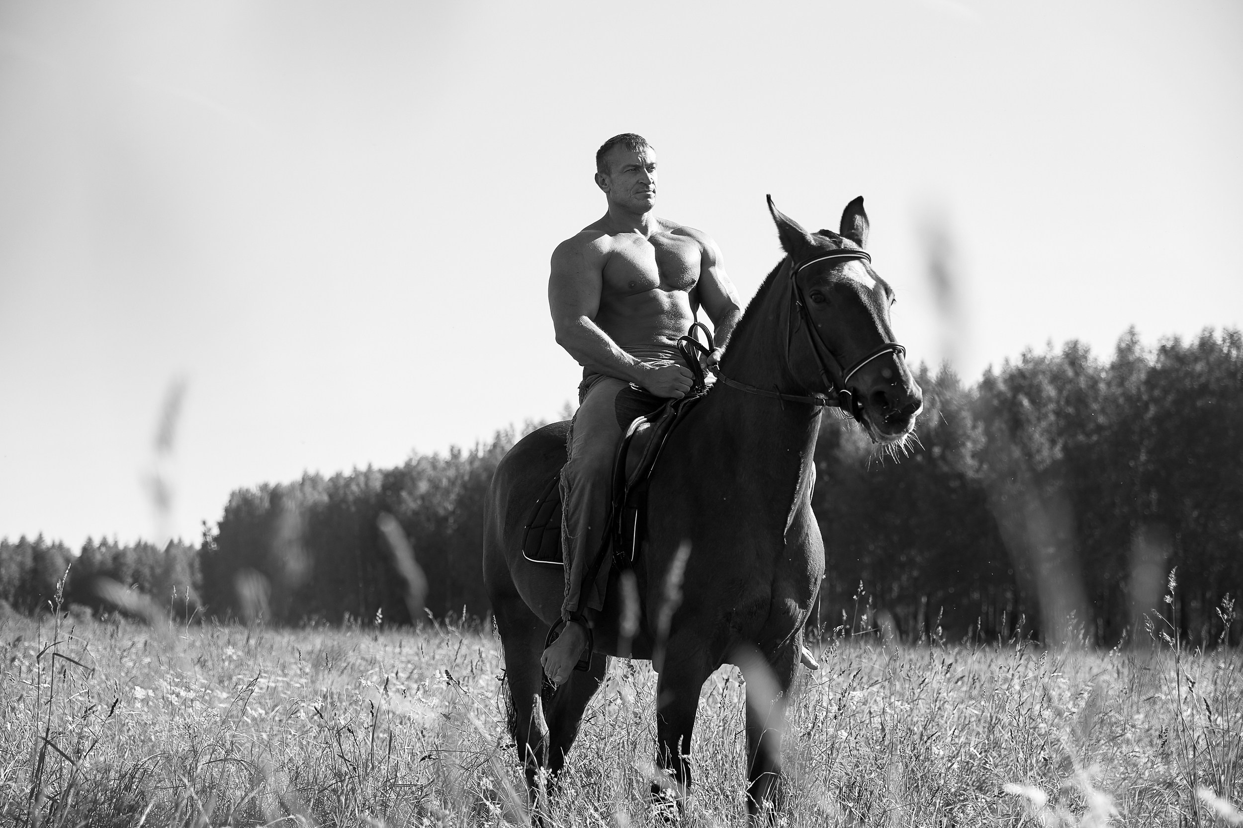 Фотосессия с лошадьми Фотограф Михаил Семенов