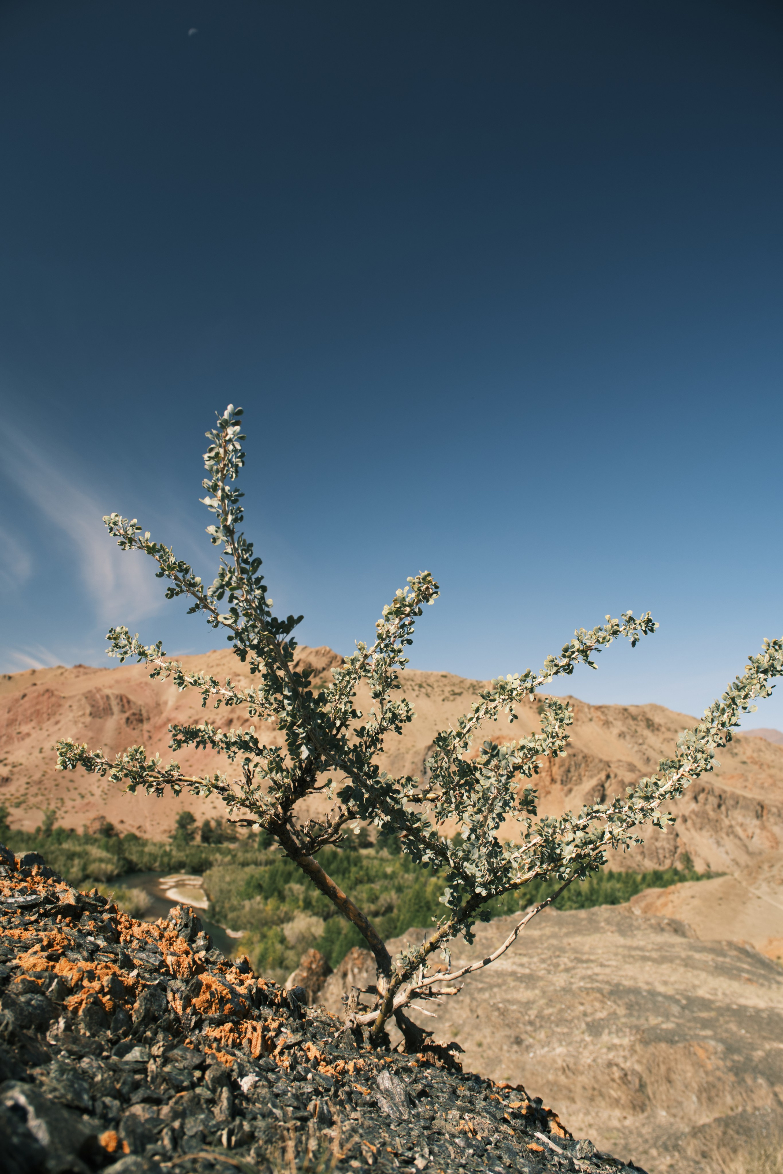 Природа. Антон Ив