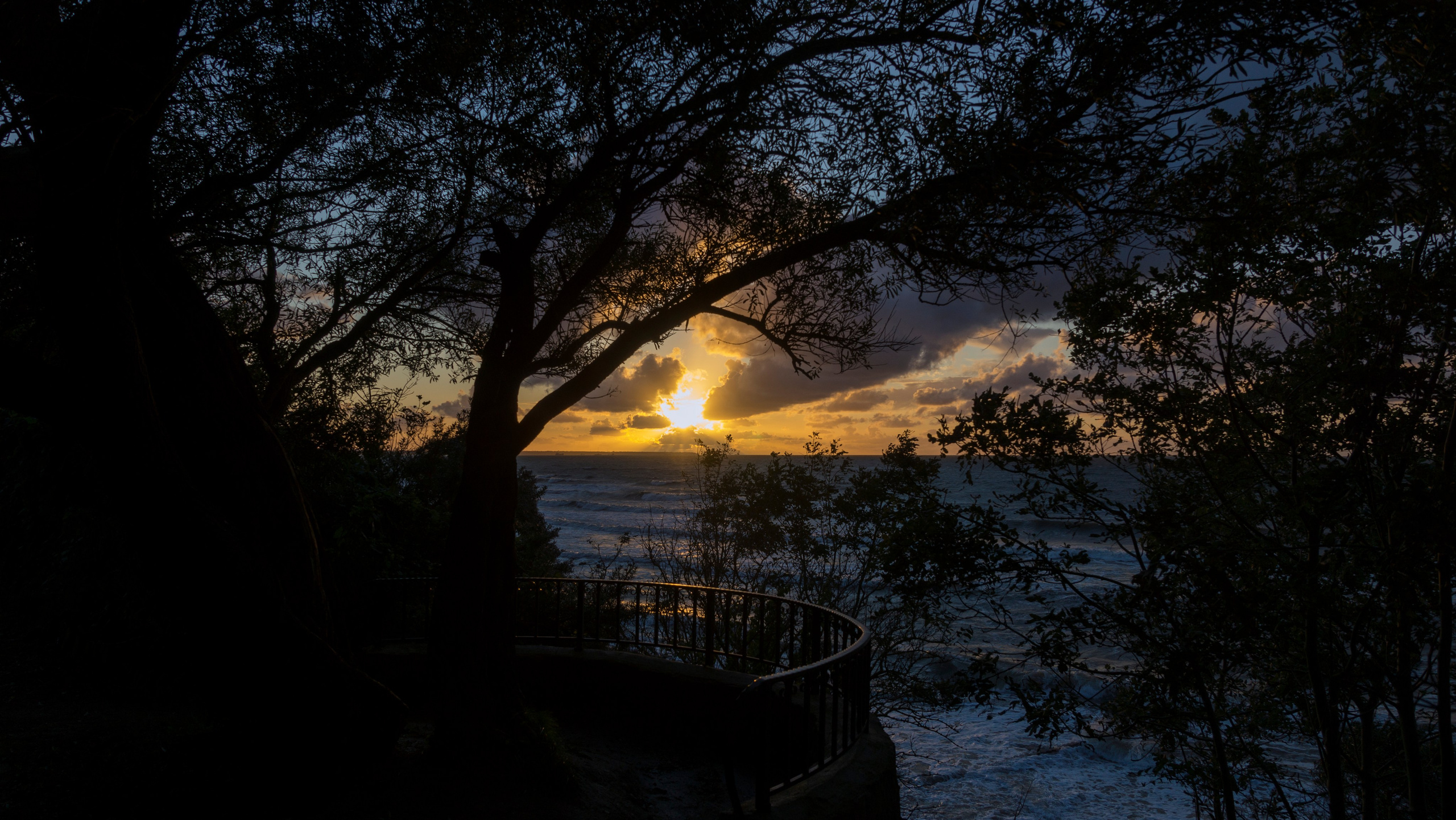 Куршская коса. Фотограф-путешественник Самойлов Максим «Sly Fox»