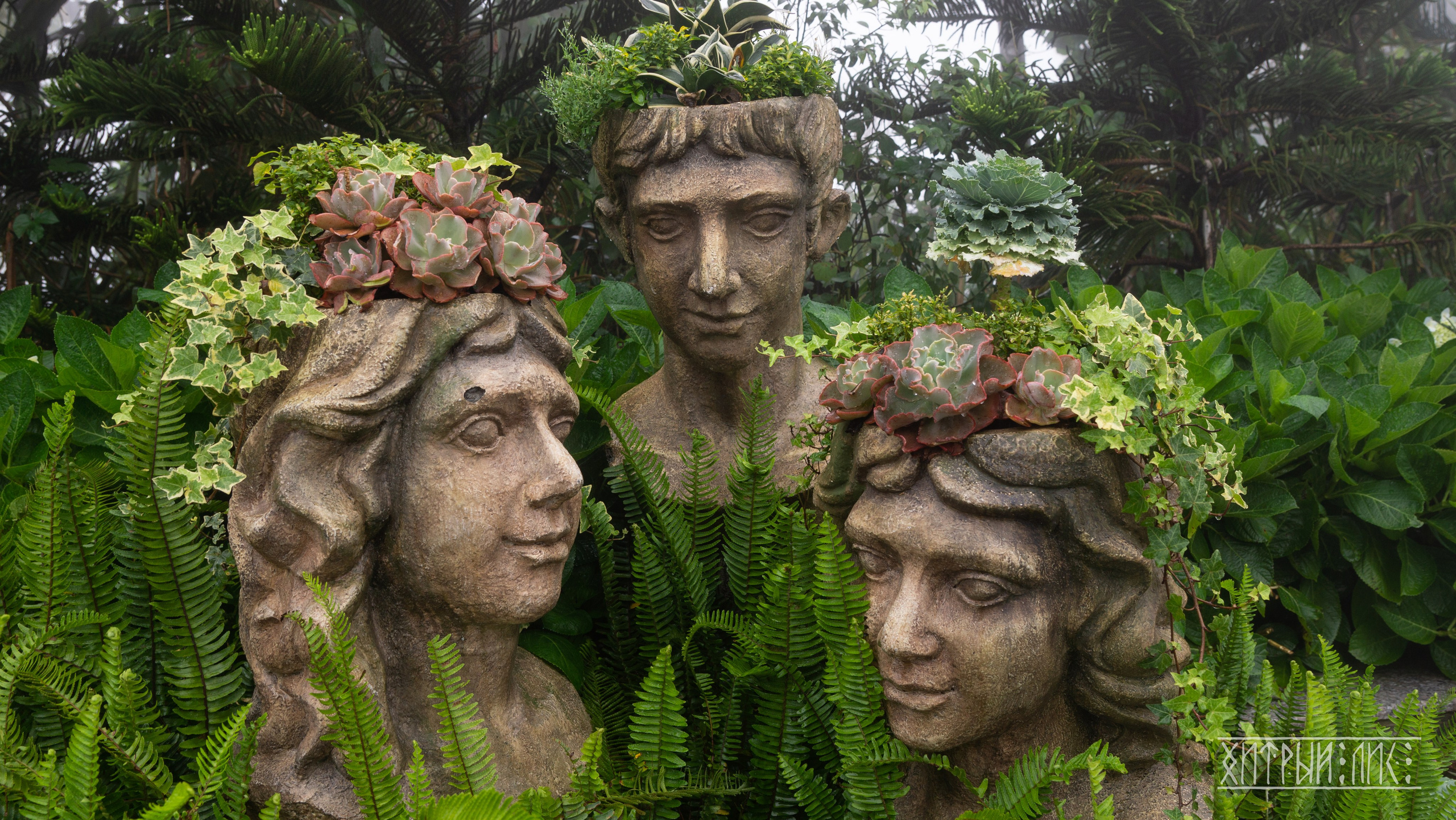 Вьетнам. Фотограф-путешественник Самойлов Максим «Sly Fox»