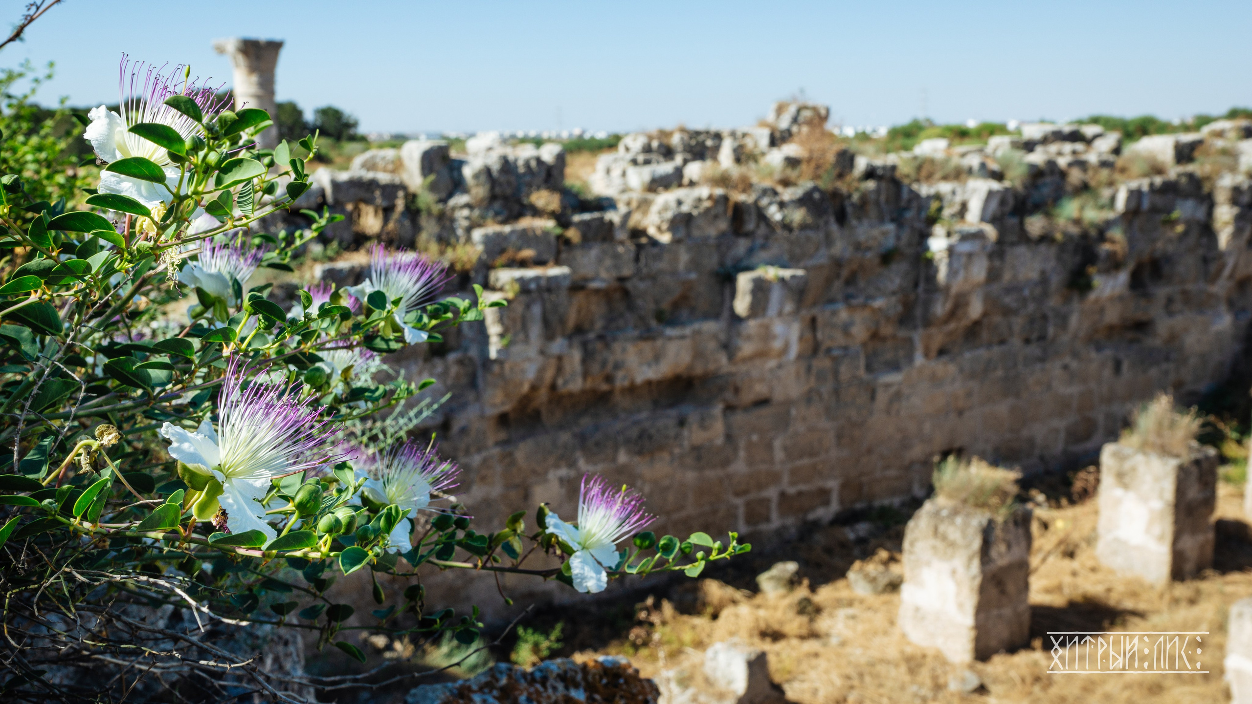 Кипр. Фотограф-путешественник Самойлов Максим «Sly Fox»
