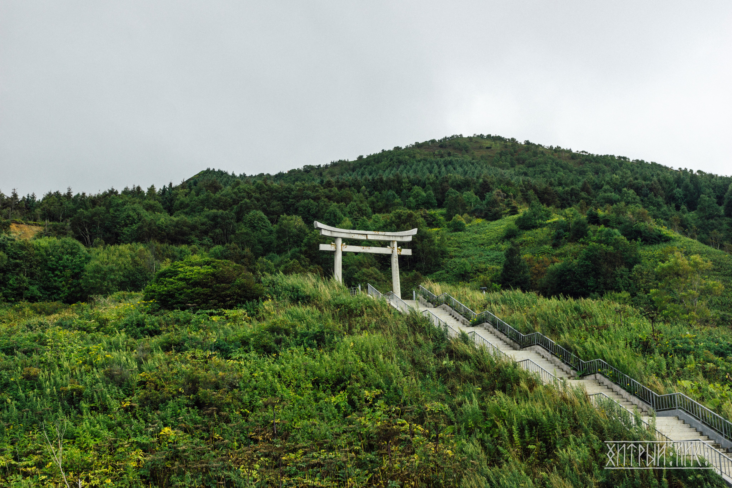 Сахалин. Фотограф-путешественник Самойлов Максим «Sly Fox»