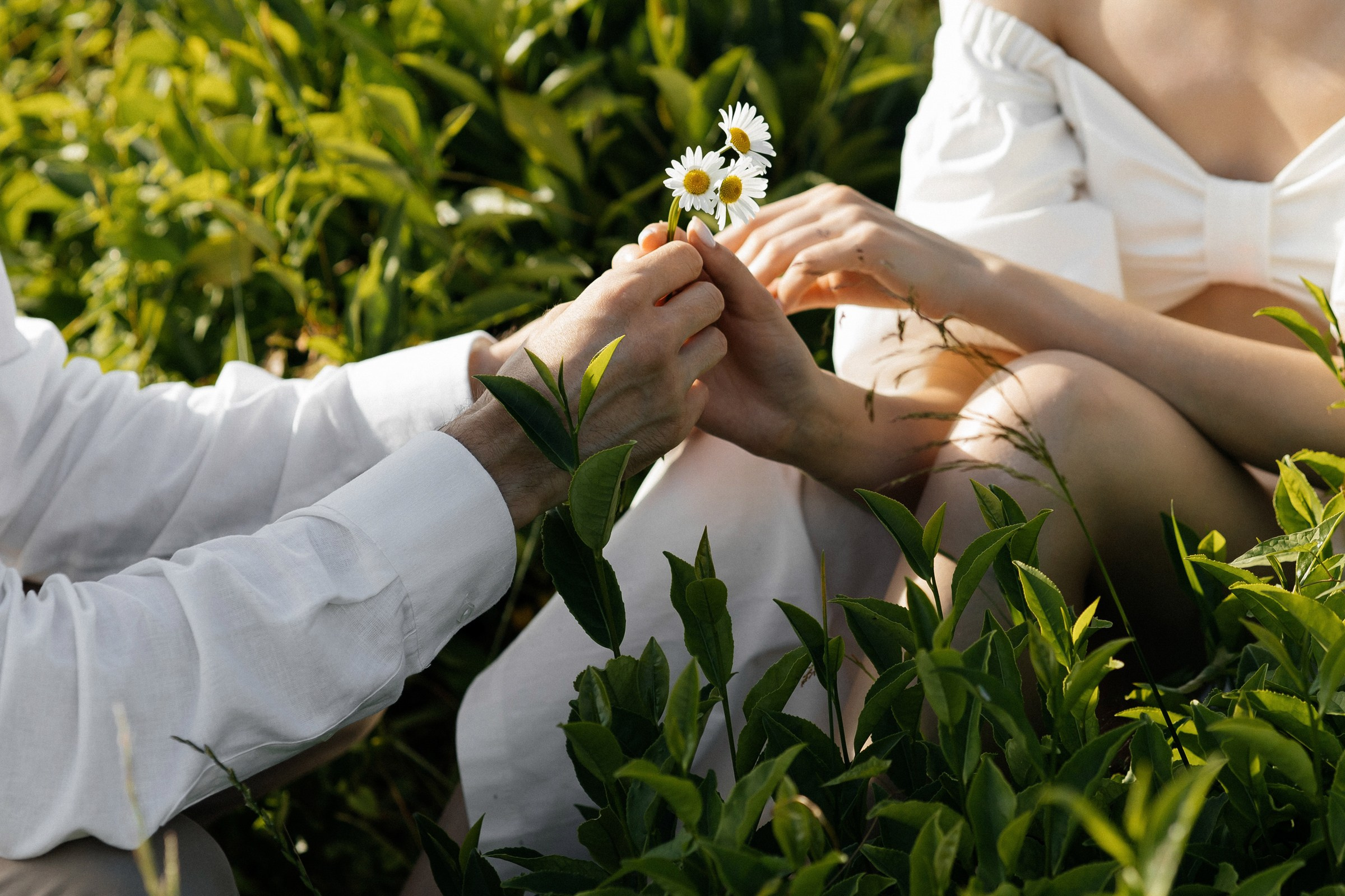 Он, она и слоны. Свадебный фотограф в Ростове-на-Дону