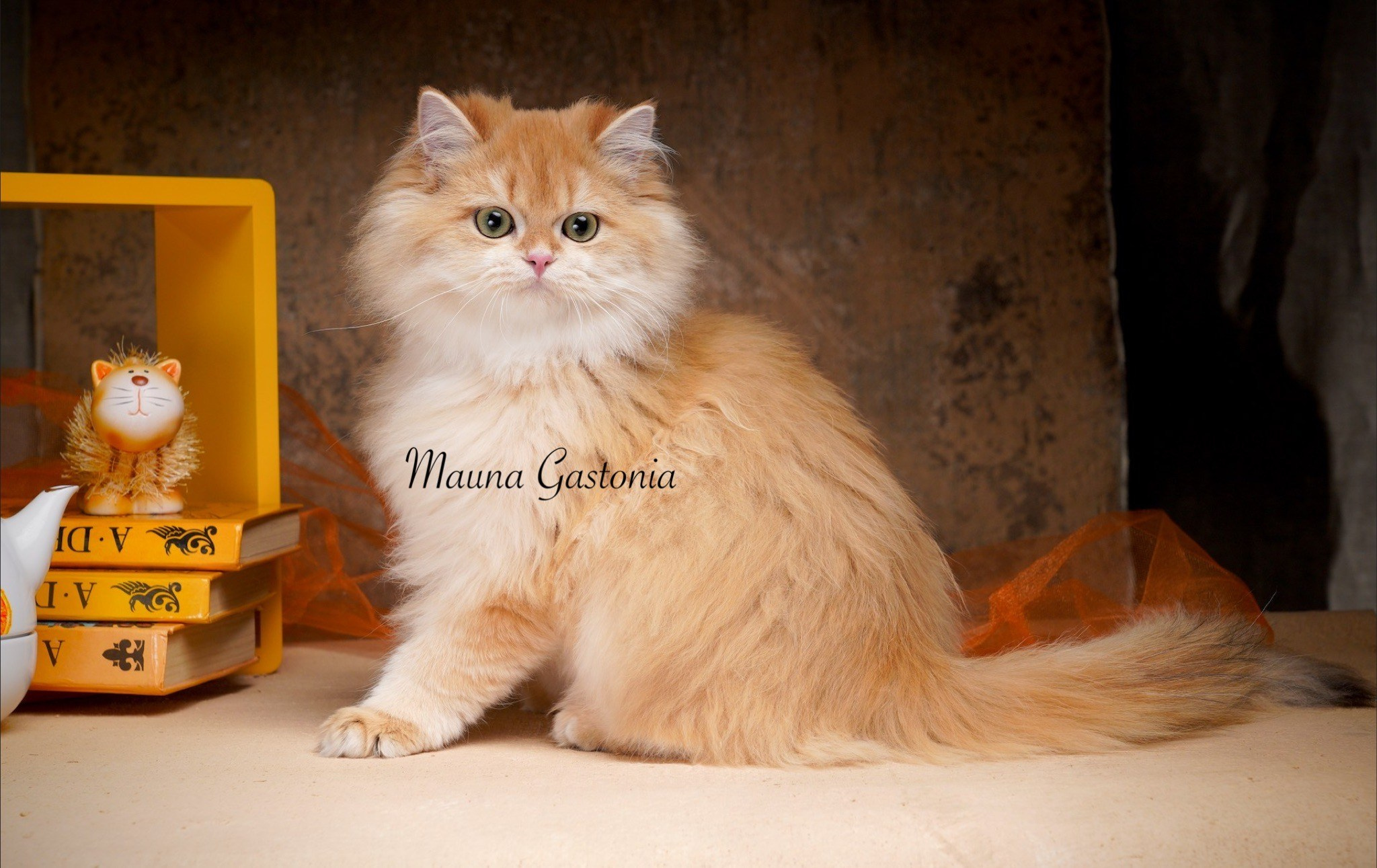 Germes. Mauna Gastonia