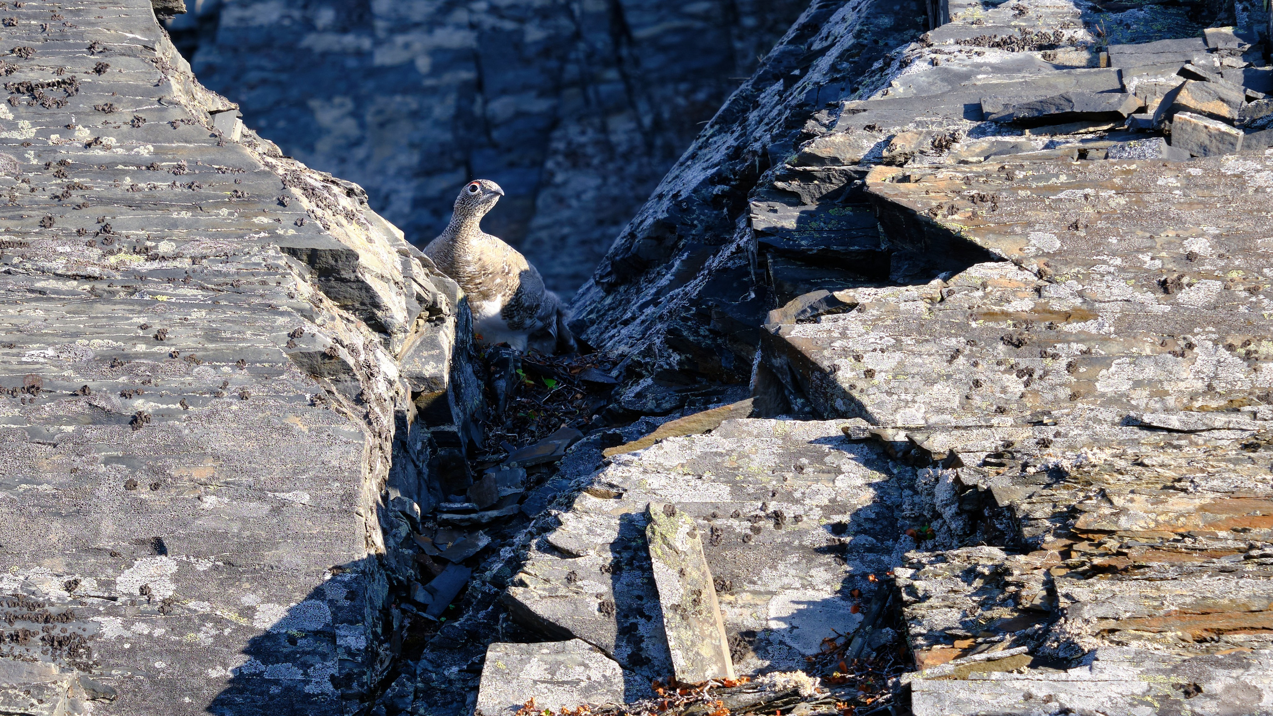 Баренцево море. Пейзажи Крайнего Севера. Баренцево море, Рыбачий, Средний, Немецкий