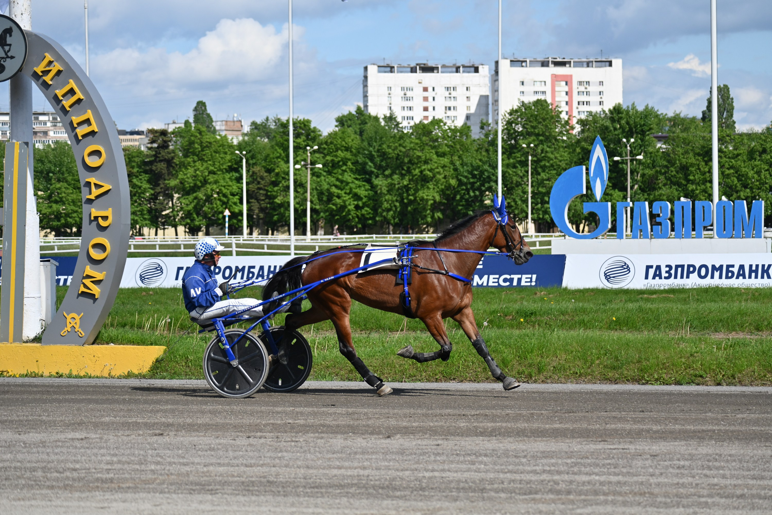 Московский ипподром. Fotolux