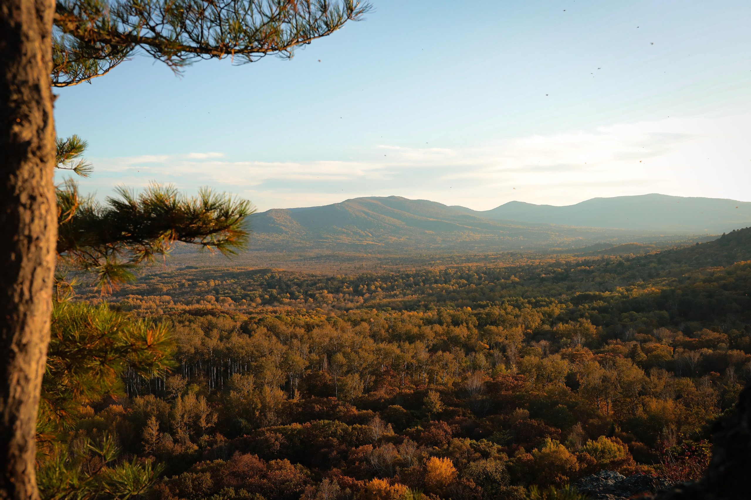 На Змеиной горе. Фотограф г. Хабаровск. Семейные и индивидуальные съёмки