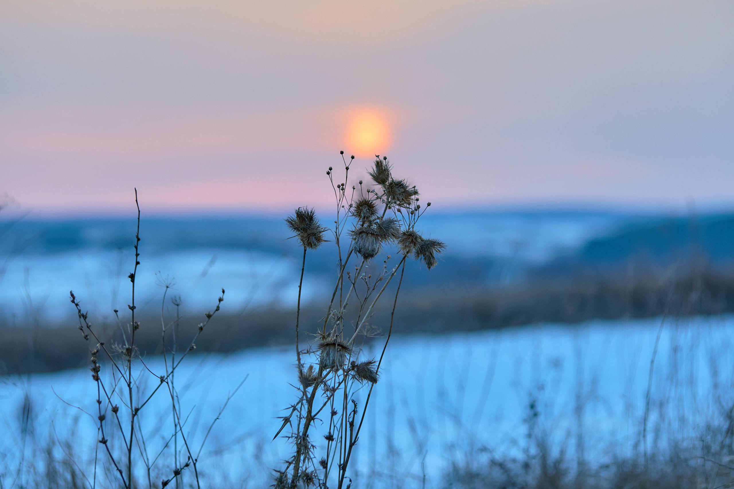 Пейзажная фотосъемка. Владимир Суздалов (ProMaXe) — Портретный фотограф, тематические фотосессии в Чебоксарах