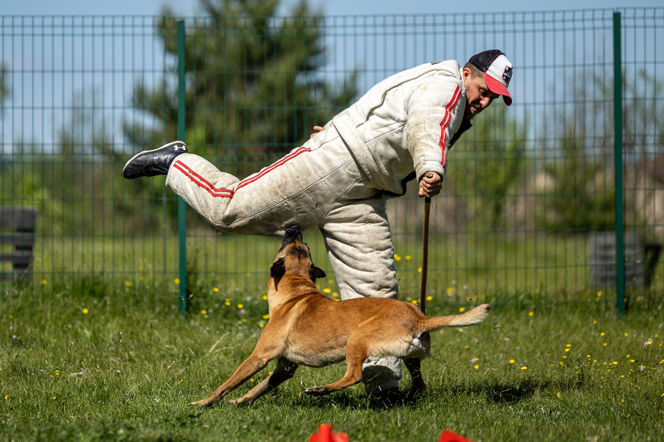 Испытания по мондьорингу в Нижнем Новгороде. Фотограф-анималист Анна Маринич