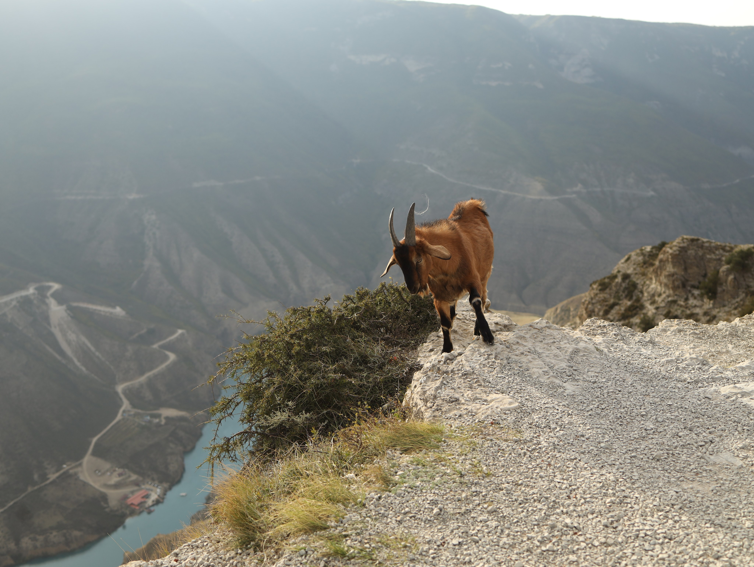 Фототур Дагестан. Официальный сайт фотогрофа Натальи Михалевой | Кемерово